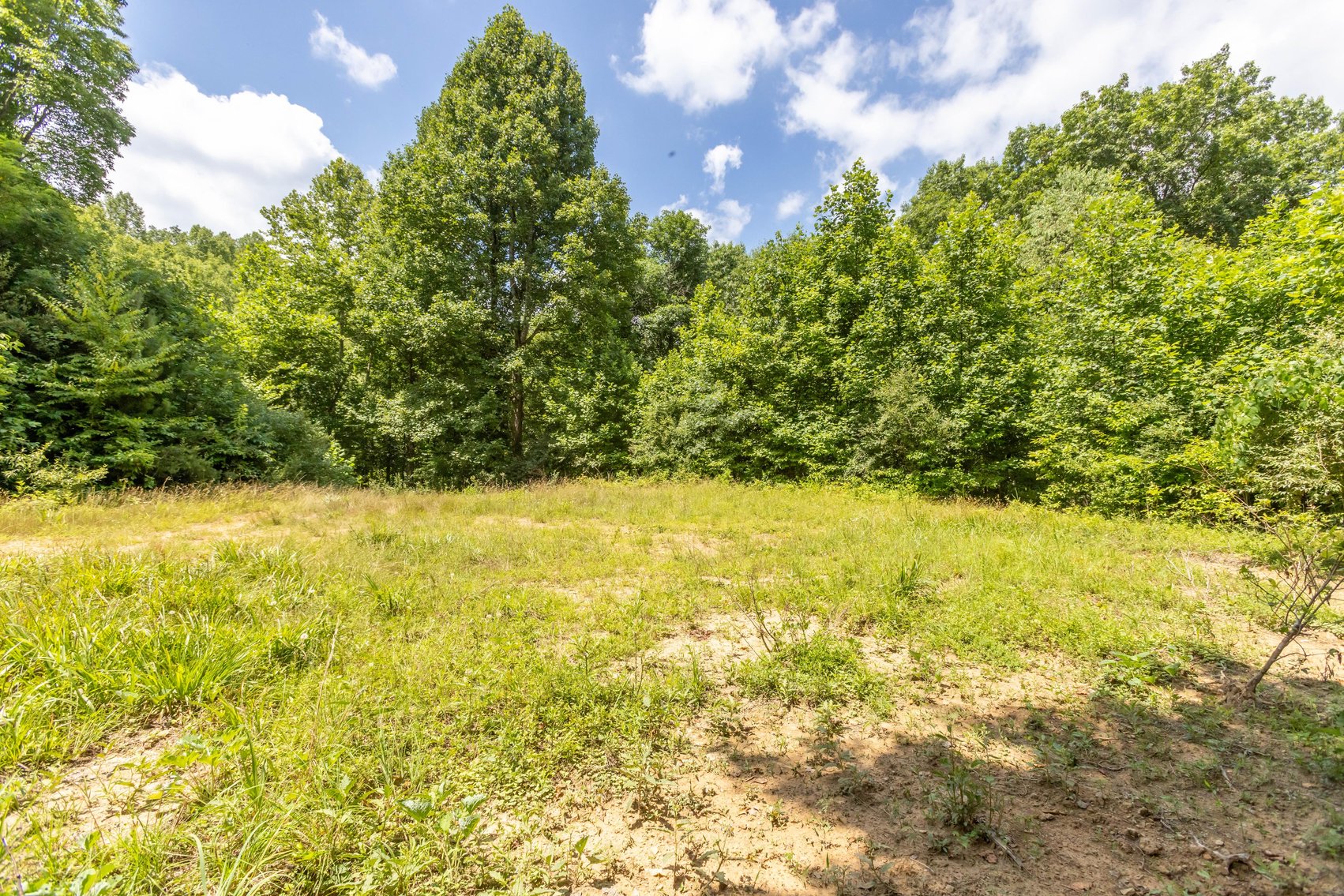 Image for SOLD $45,650 - 44 Wooded Acres in Wyoming County