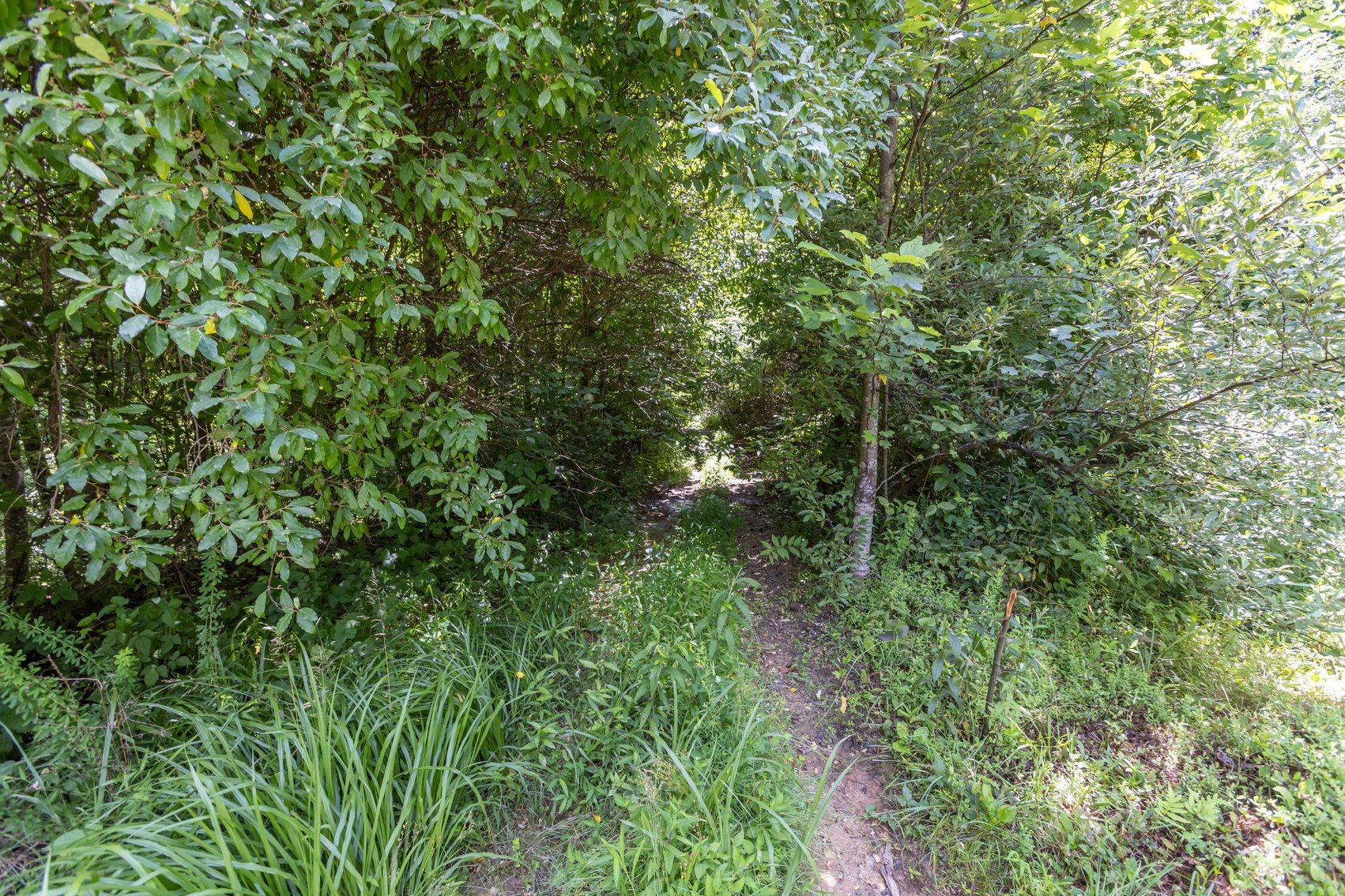 Image for SOLD $45,650 - 44 Wooded Acres in Wyoming County