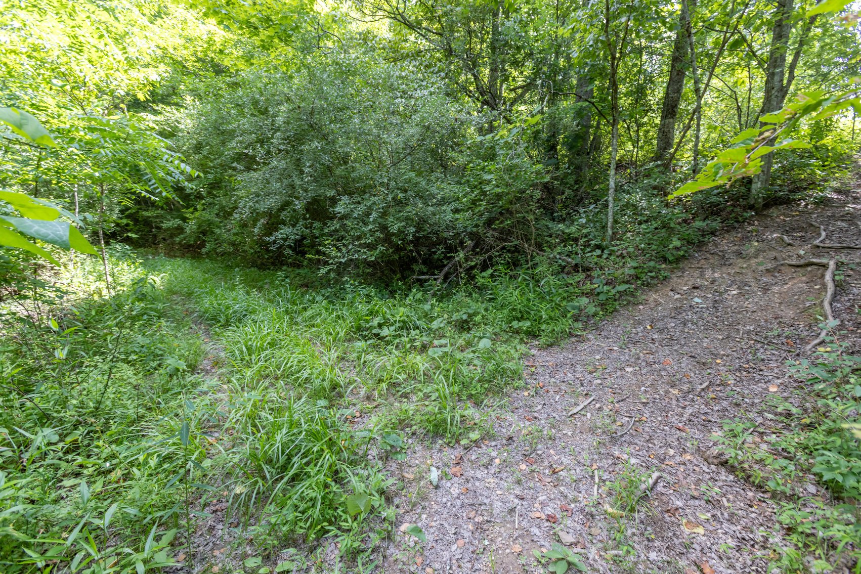 Image for SOLD $45,650 - 44 Wooded Acres in Wyoming County