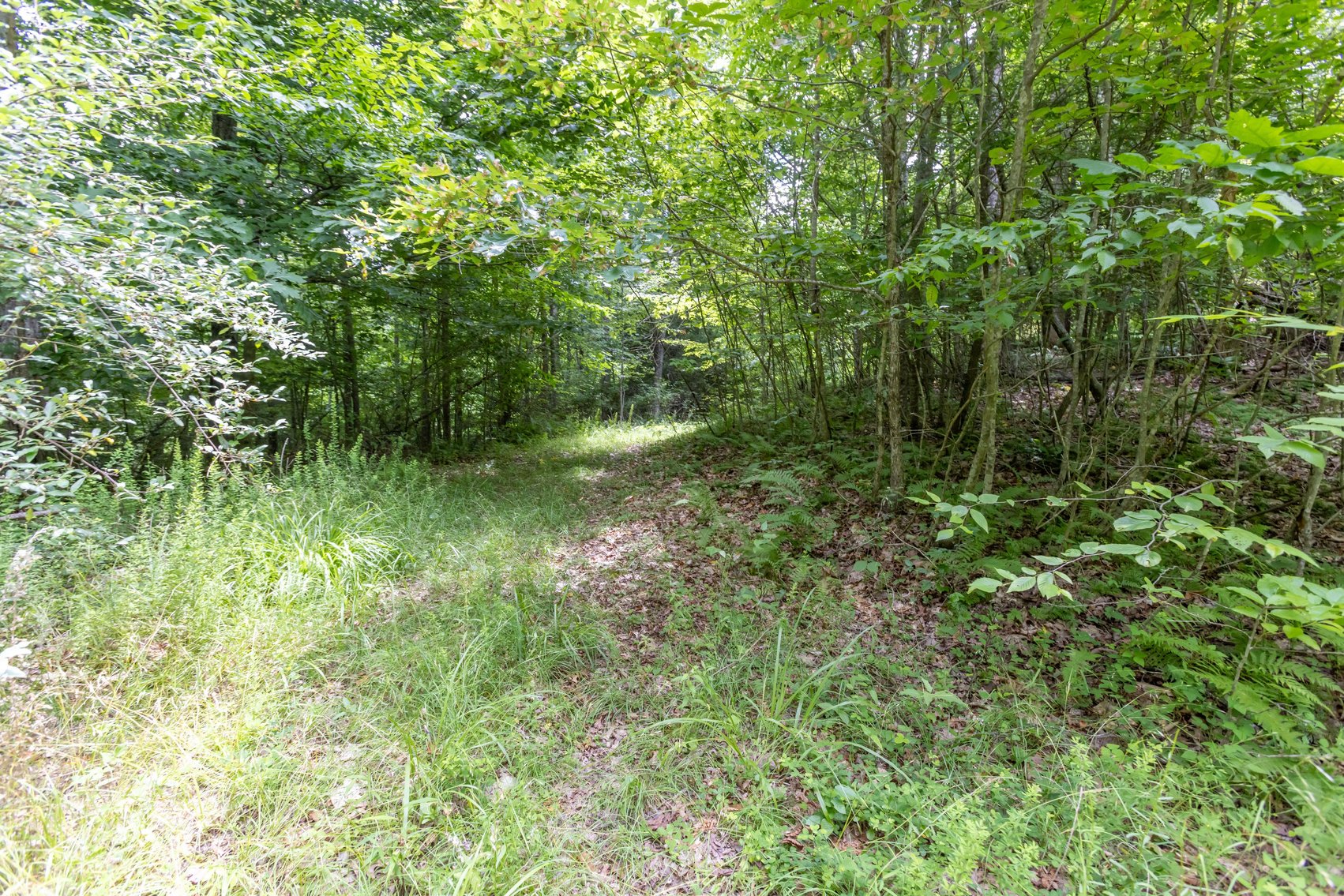 Image for SOLD $45,650 - 44 Wooded Acres in Wyoming County
