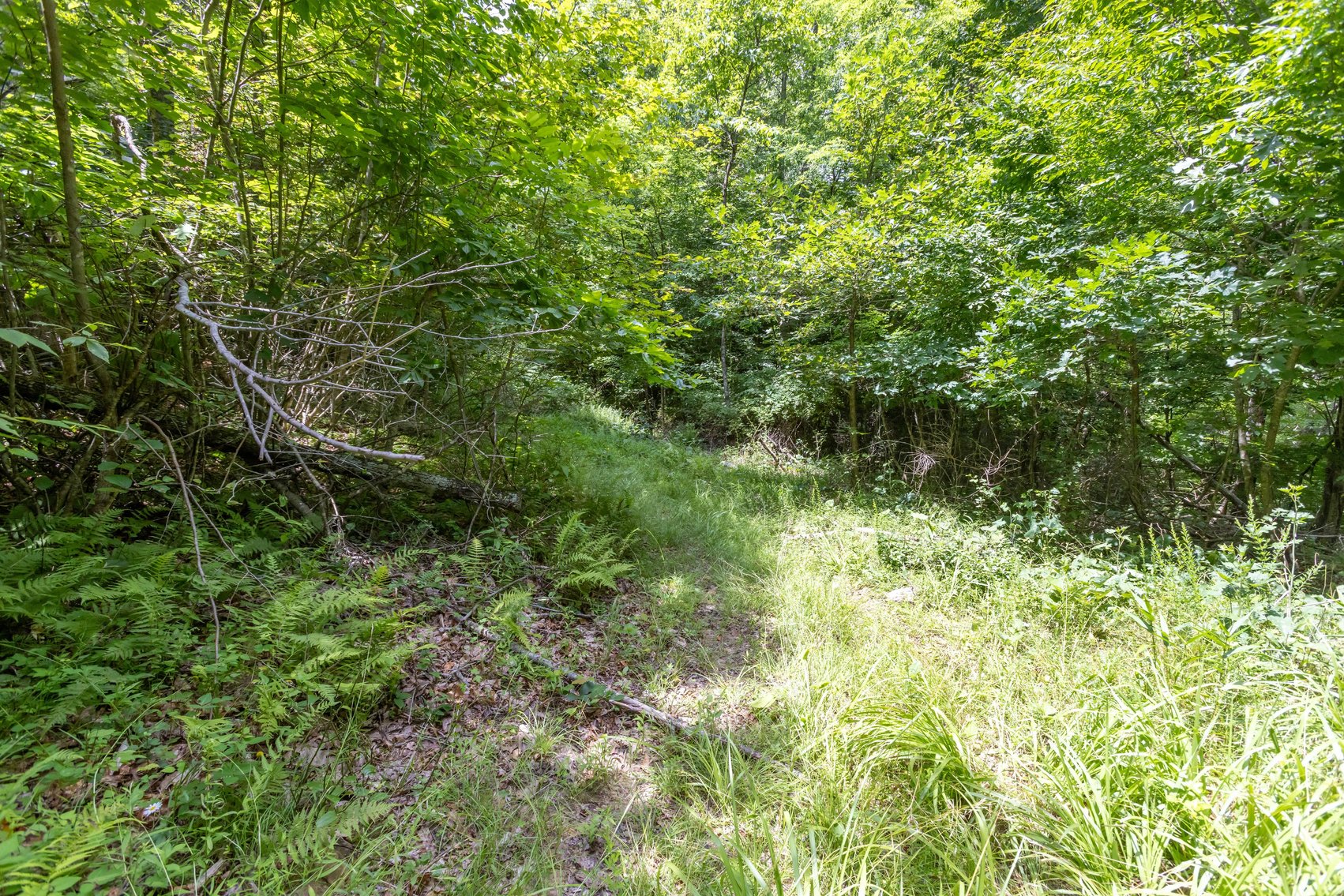 Image for SOLD $45,650 - 44 Wooded Acres in Wyoming County