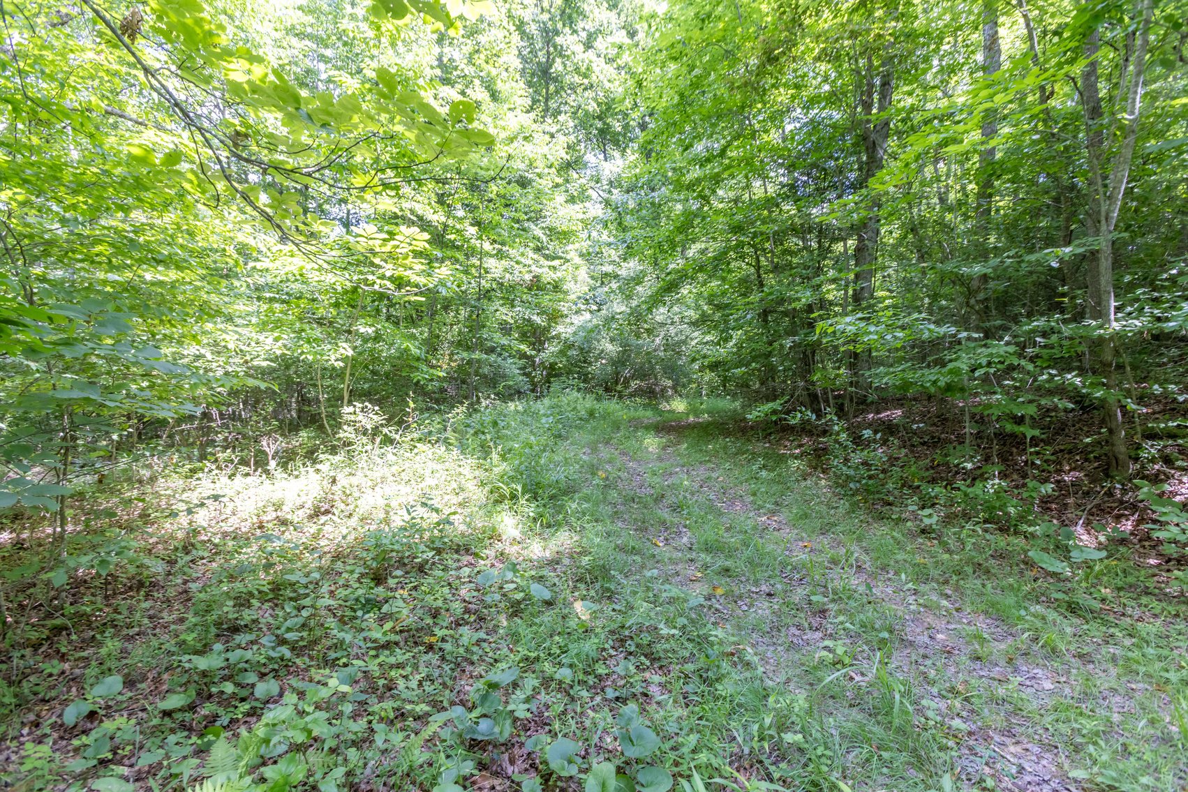 Image for SOLD $45,650 - 44 Wooded Acres in Wyoming County