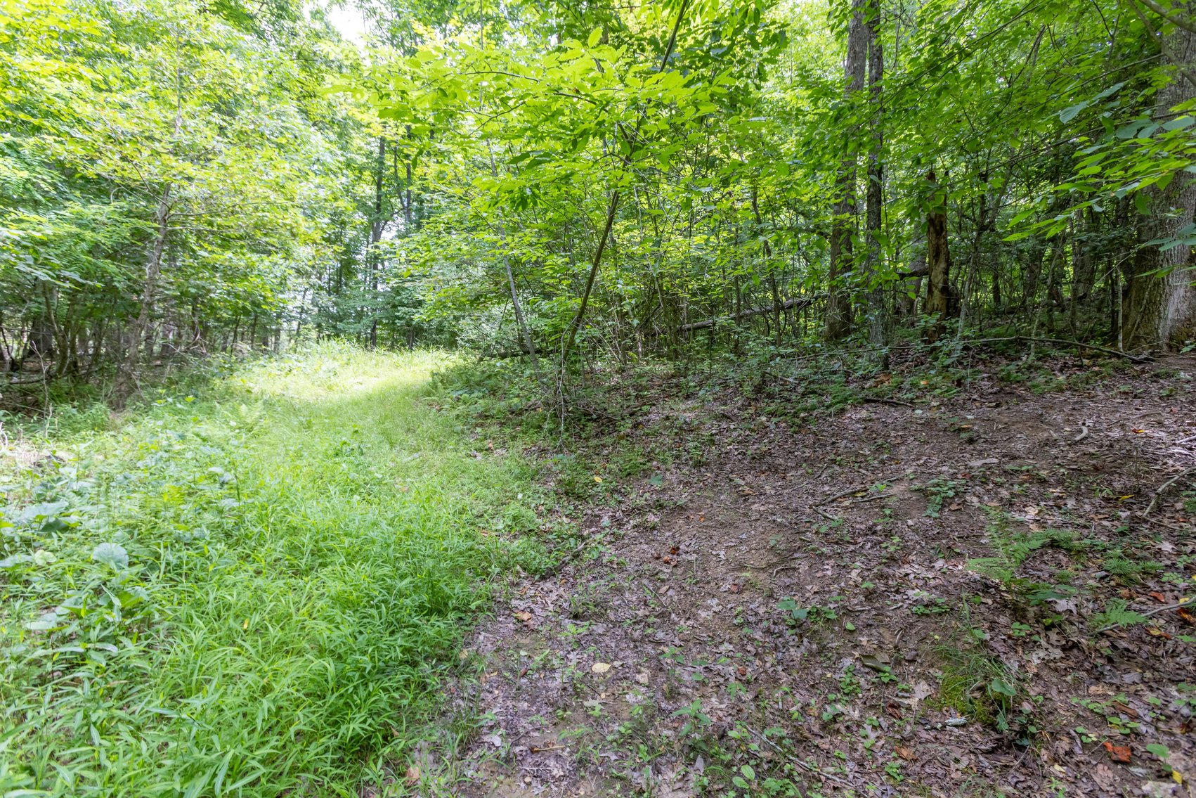 Image for SOLD $45,650 - 44 Wooded Acres in Wyoming County