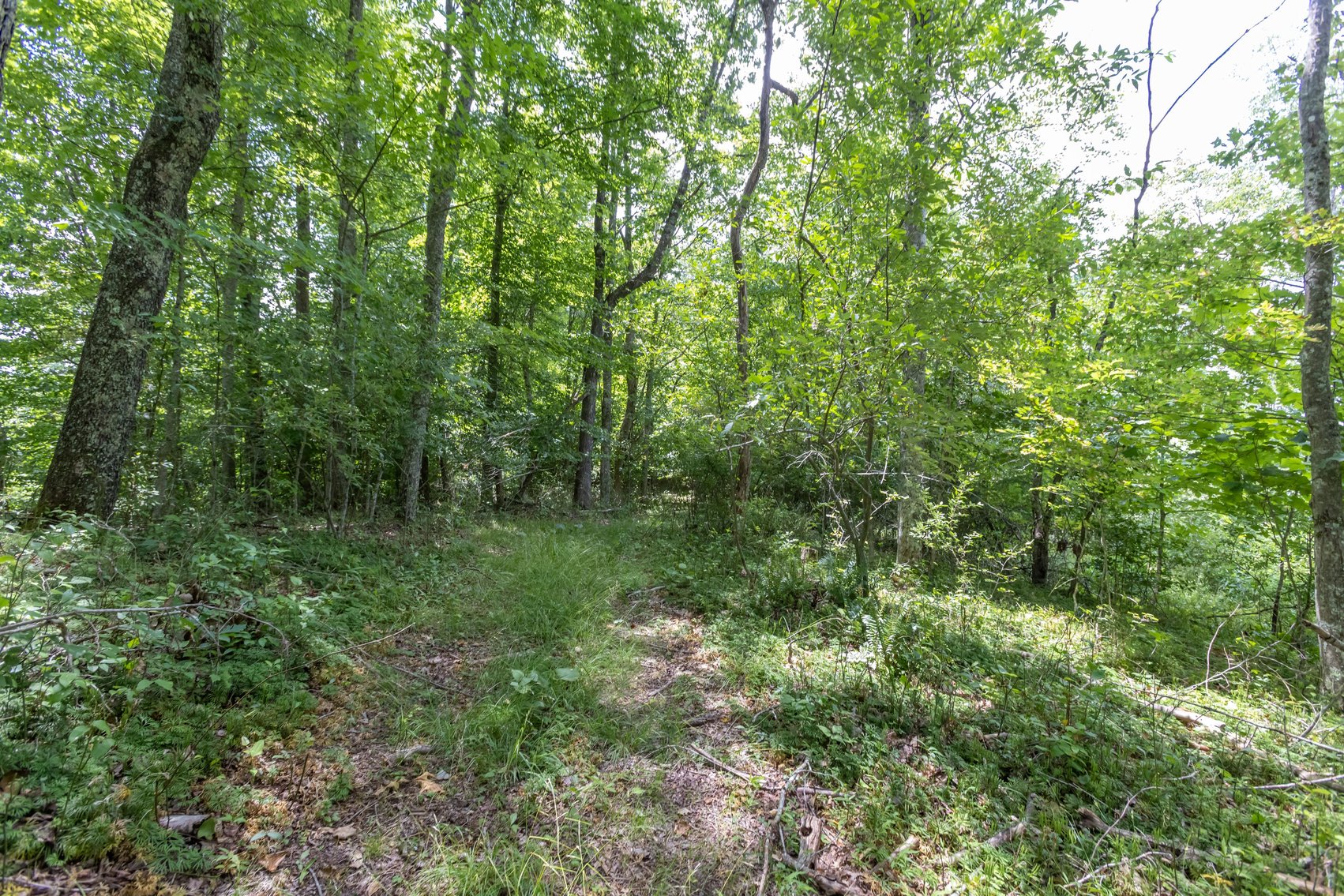 Image for SOLD $45,650 - 44 Wooded Acres in Wyoming County