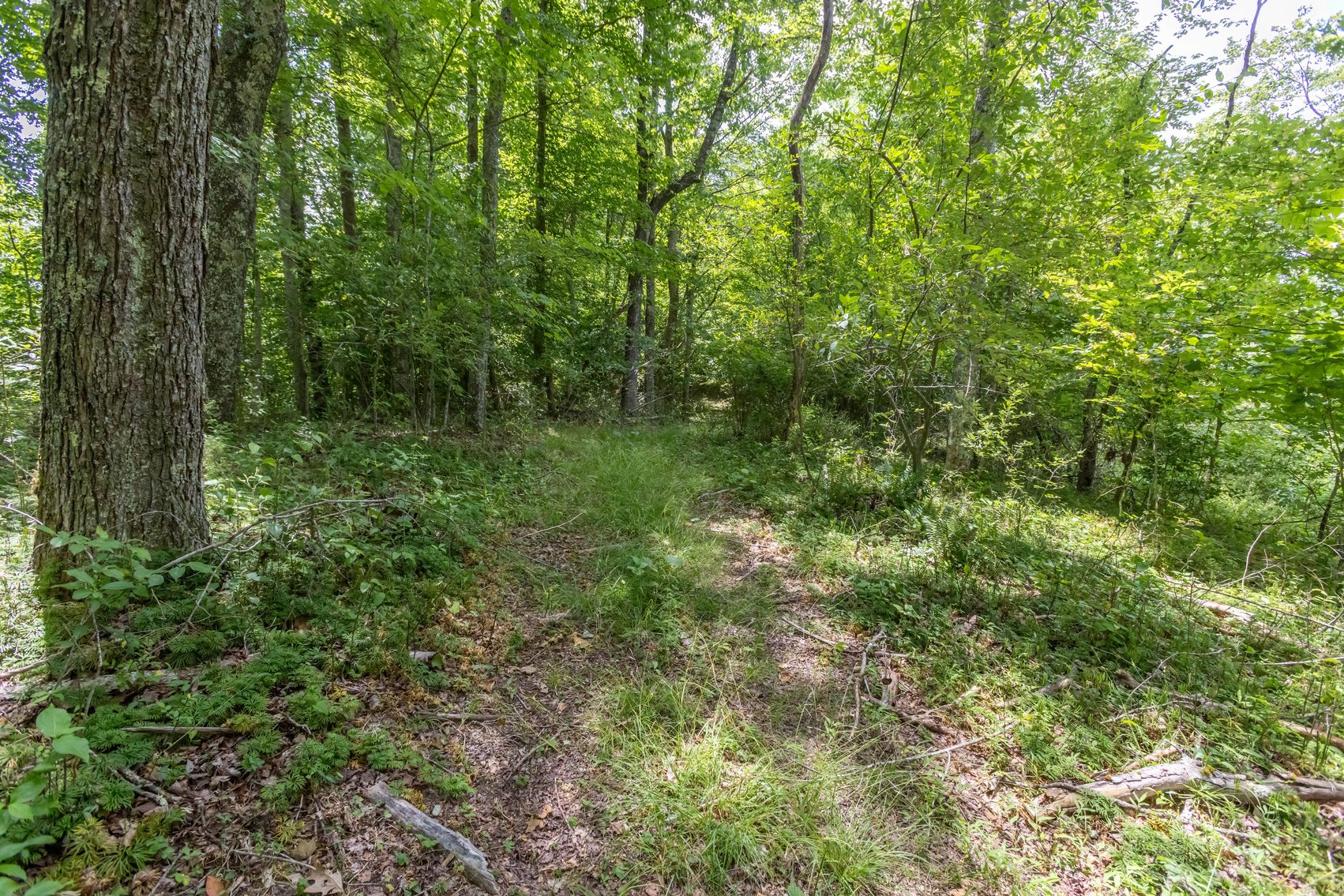 Image for SOLD $45,650 - 44 Wooded Acres in Wyoming County