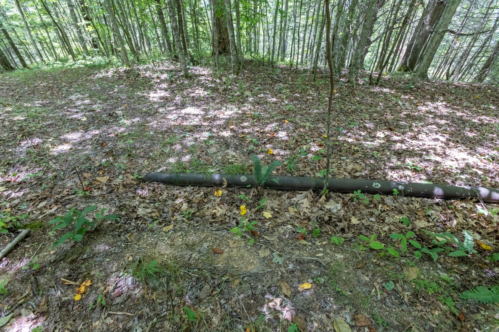 Image for SOLD $45,650 - 44 Wooded Acres in Wyoming County