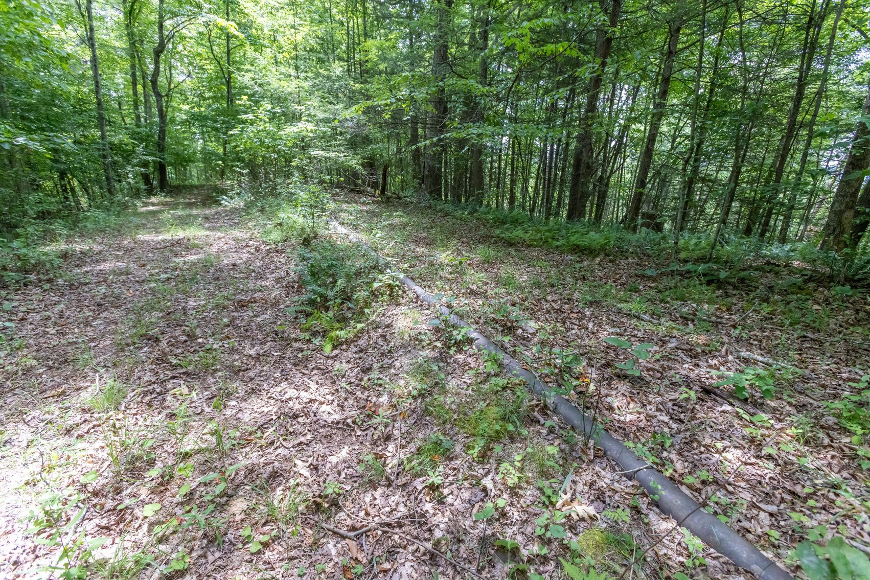 Image for SOLD $45,650 - 44 Wooded Acres in Wyoming County