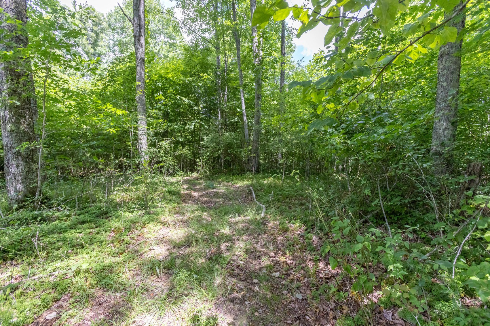 Image for SOLD $45,650 - 44 Wooded Acres in Wyoming County