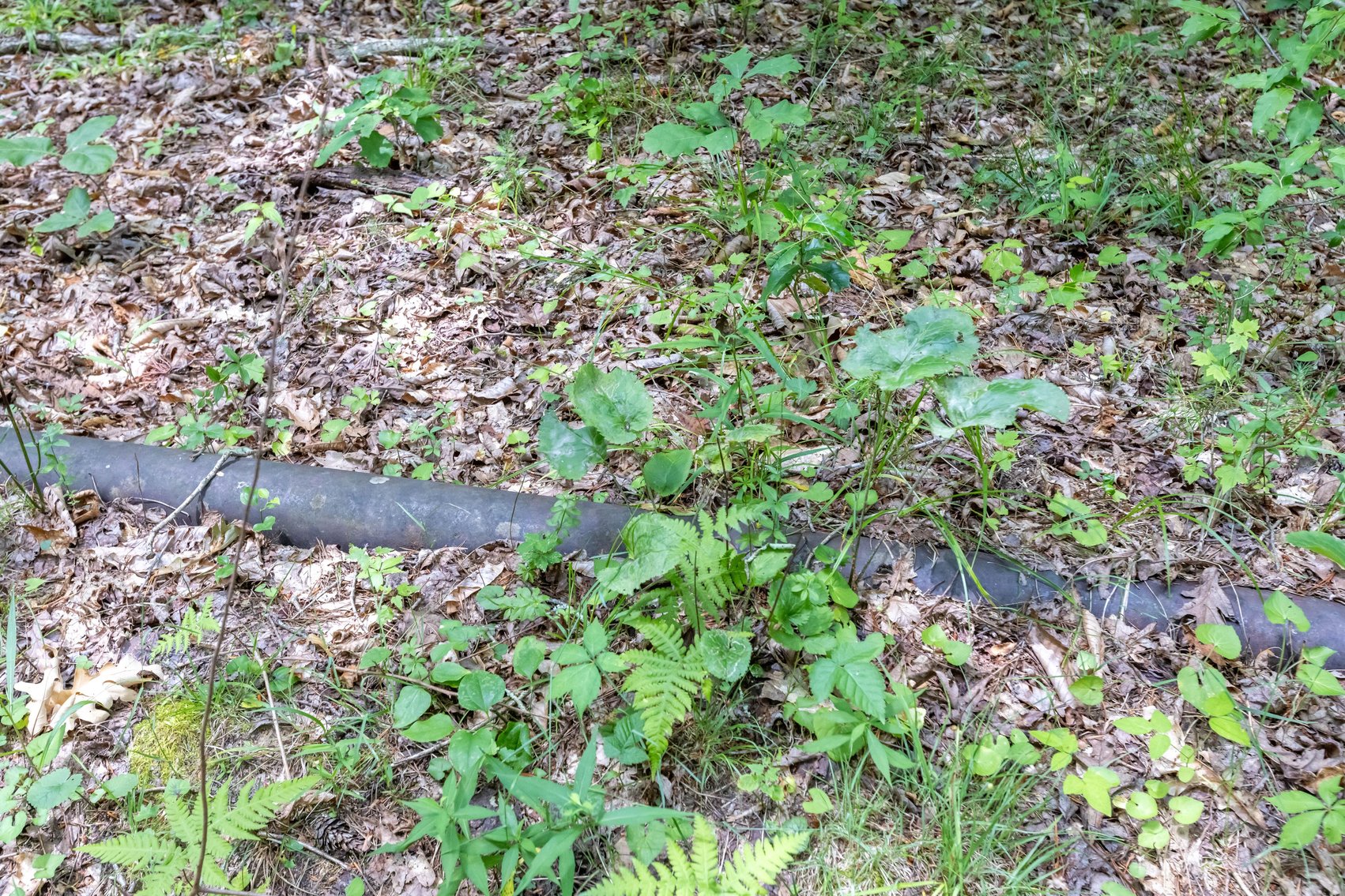 Image for SOLD $45,650 - 44 Wooded Acres in Wyoming County