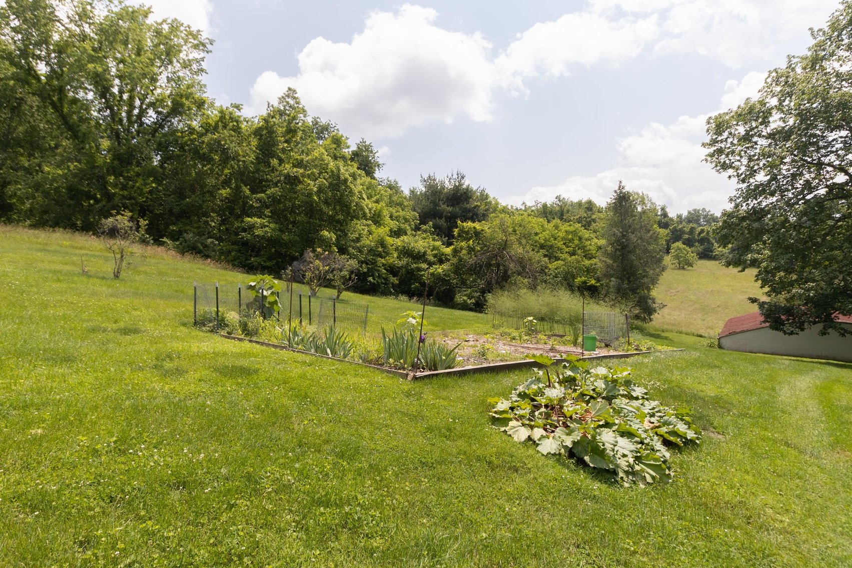 Image for SOLD $451,000 - 3 Bedroom Federal Style Brick Home on Over 14 Acres in Greene County