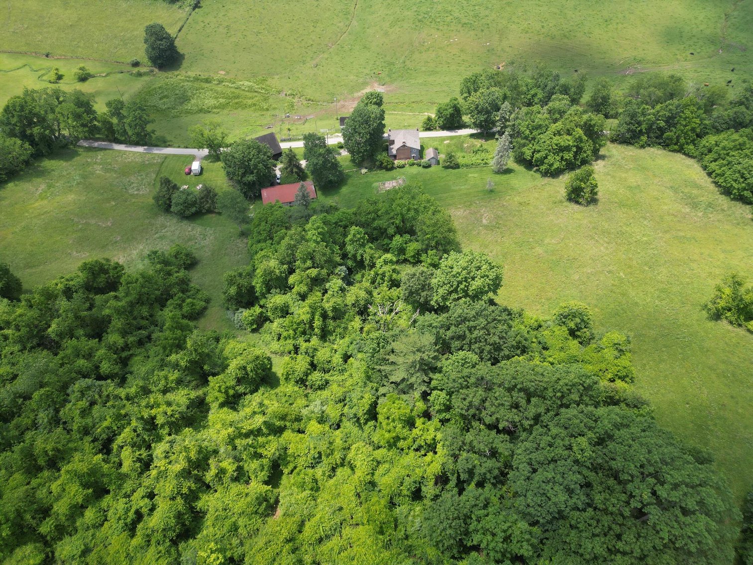 Image for SOLD $451,000 - 3 Bedroom Federal Style Brick Home on Over 14 Acres in Greene County