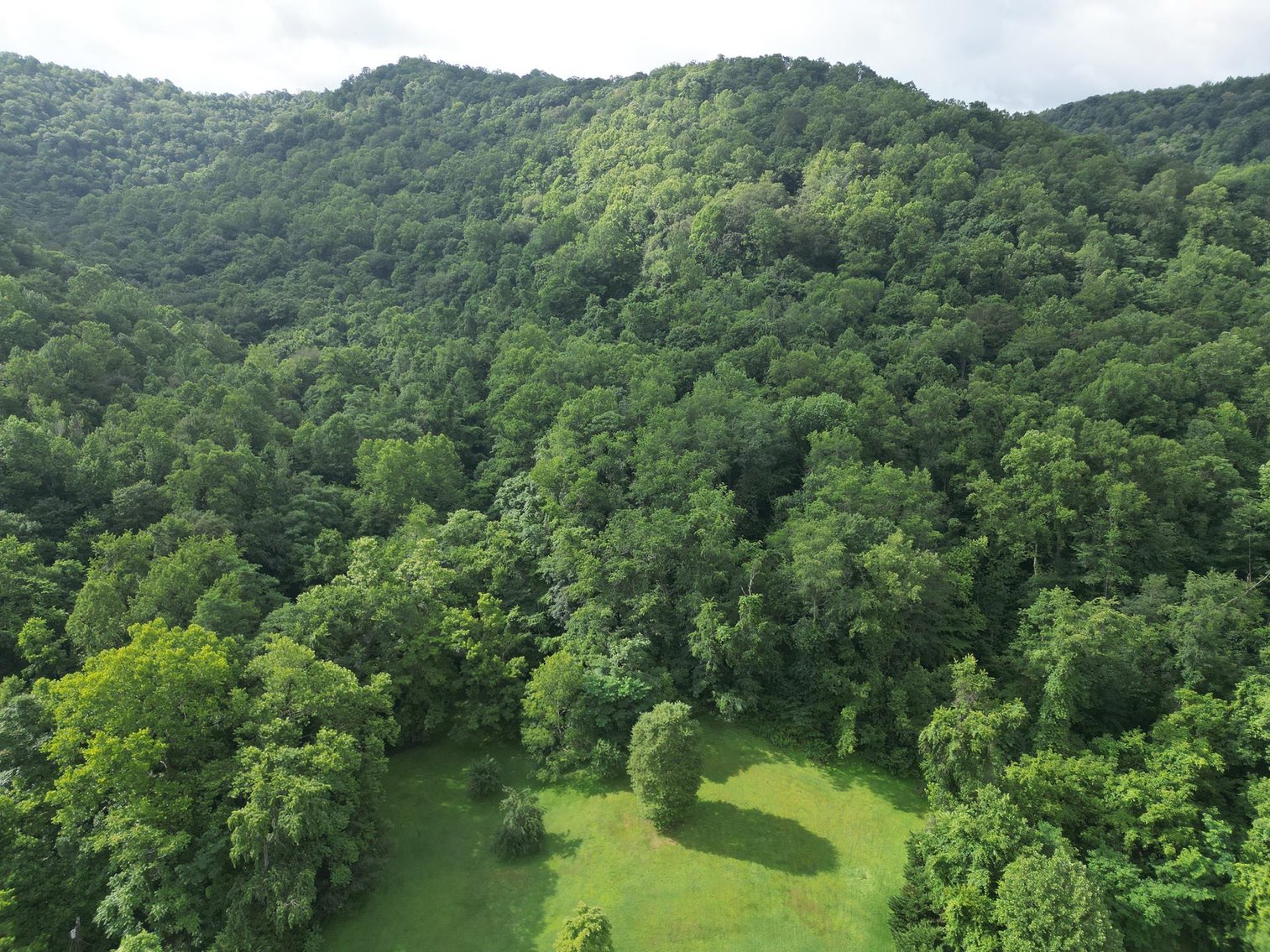 Image for SOLD $836,000 - 950 Acres with Timber & Solar Lease in Kanawha County
