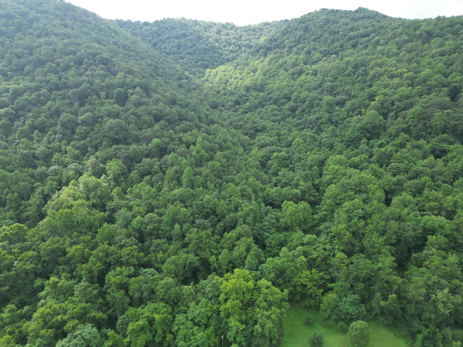 Image for SOLD $836,000 - 950 Acres with Timber & Solar Lease in Kanawha County