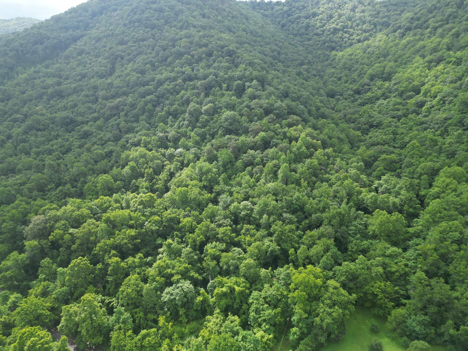 Image for SOLD $836,000 - 950 Acres with Timber & Solar Lease in Kanawha County