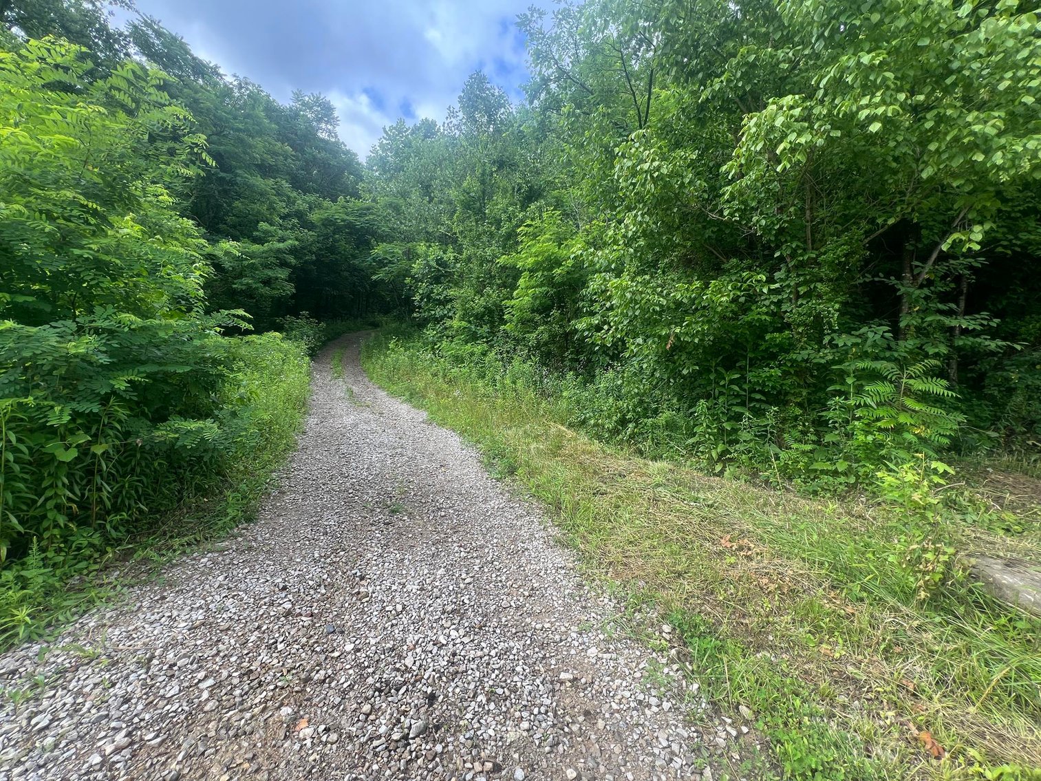 Image for SOLD $836,000 - 950 Acres with Timber & Solar Lease in Kanawha County