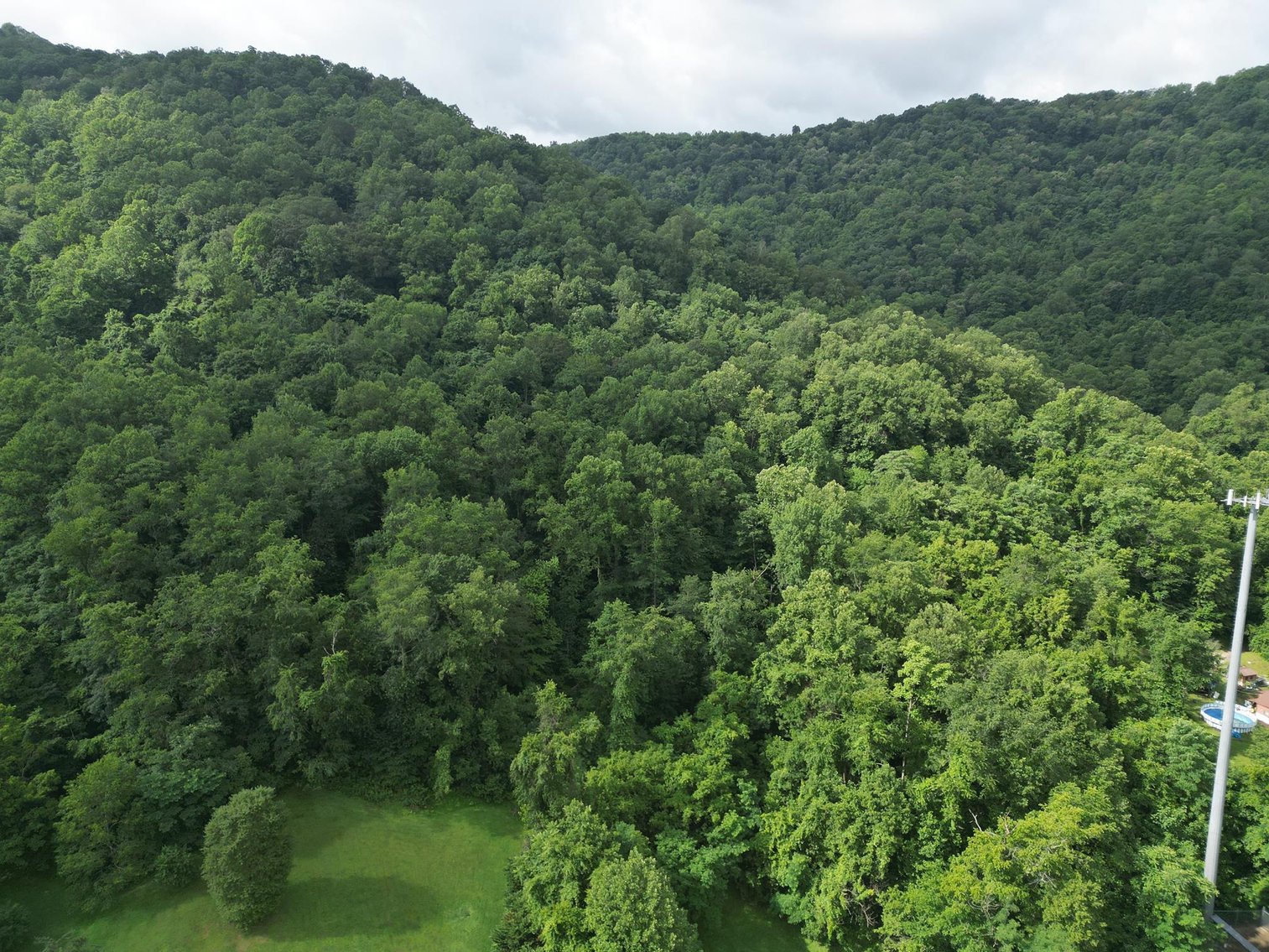Image for SOLD $836,000 - 950 Acres with Timber & Solar Lease in Kanawha County