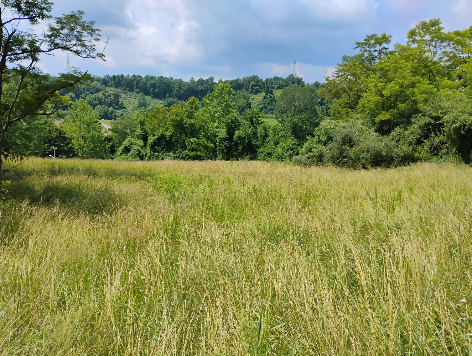 Image for Over 28 Acres Adjoining Robert C. Byrd High School in Clarksburg