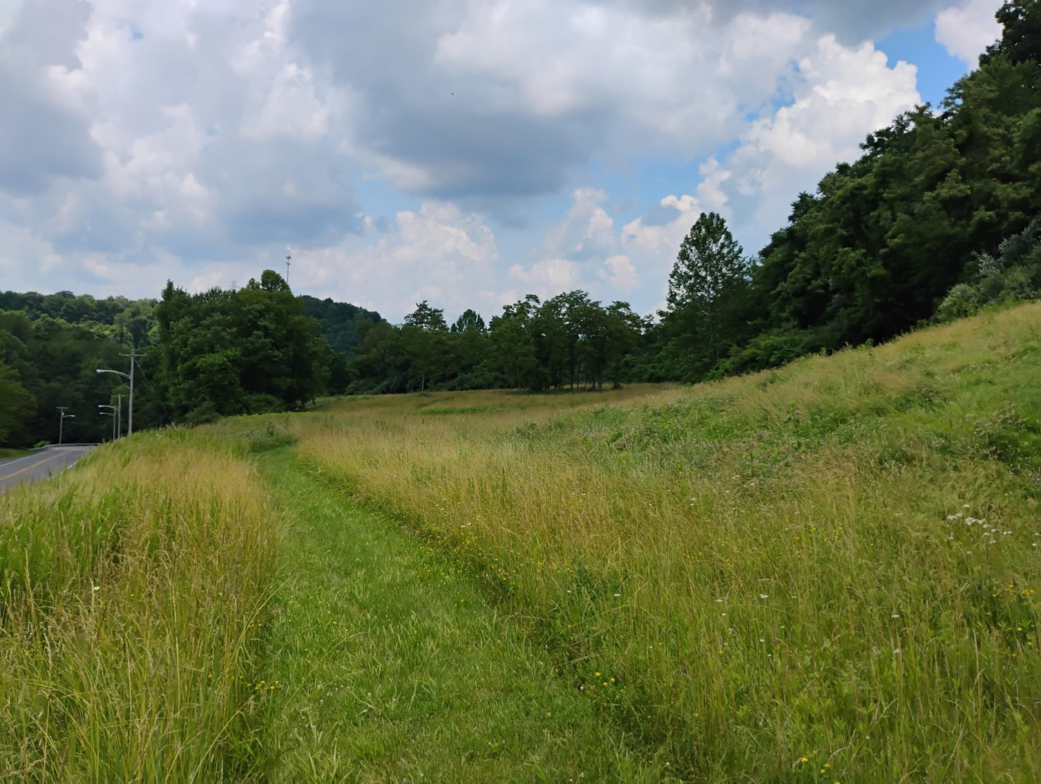 Image for Over 28 Acres Adjoining Robert C. Byrd High School in Clarksburg