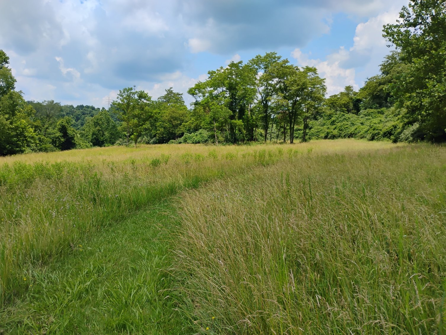 Image for Over 28 Acres Adjoining Robert C. Byrd High School in Clarksburg