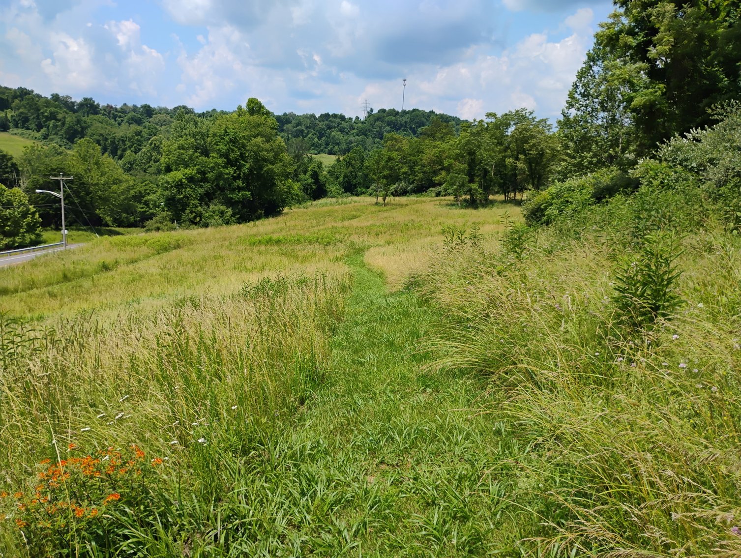 Image for Over 28 Acres Adjoining Robert C. Byrd High School in Clarksburg