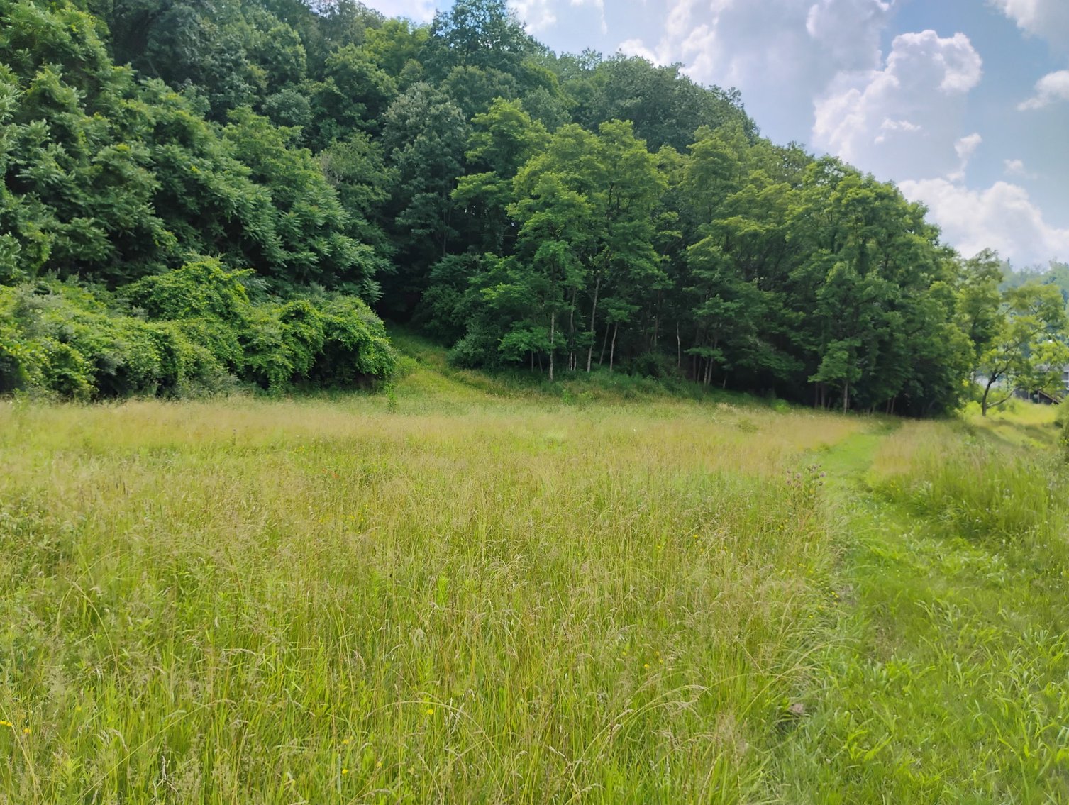 Image for Over 28 Acres Adjoining Robert C. Byrd High School in Clarksburg