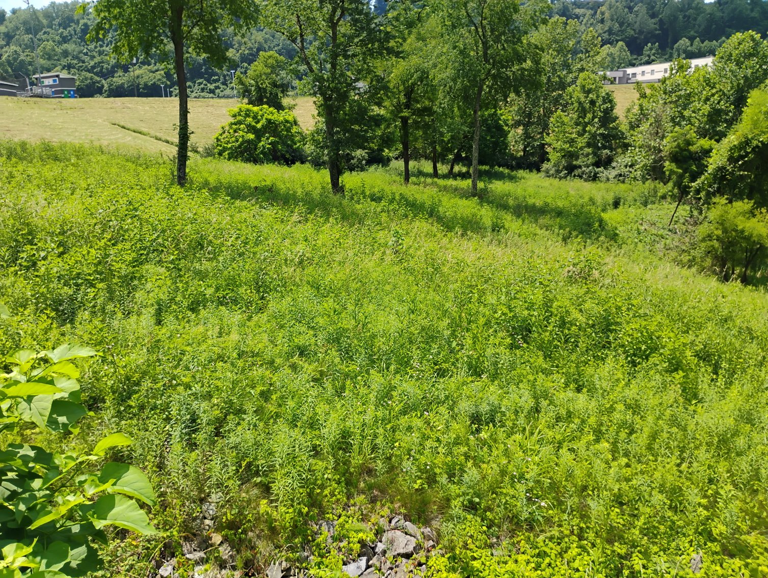 Image for Over 28 Acres Adjoining Robert C. Byrd High School in Clarksburg