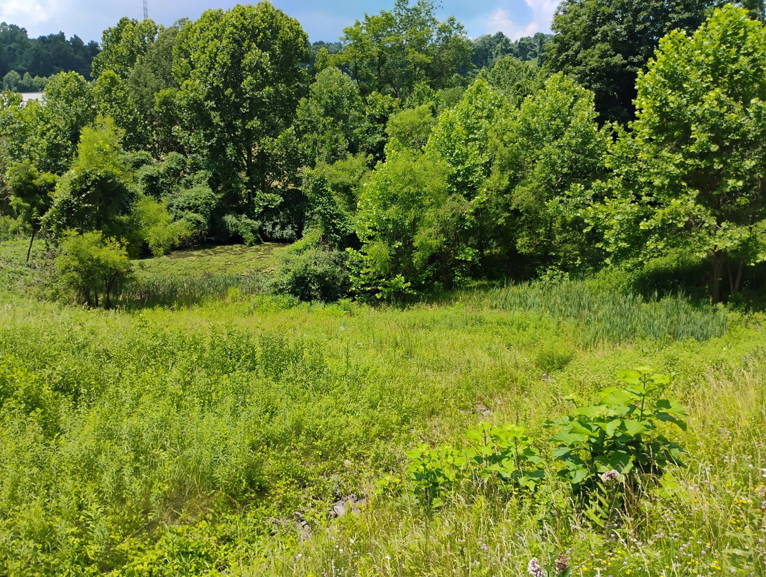 Image for Over 28 Acres Adjoining Robert C. Byrd High School in Clarksburg