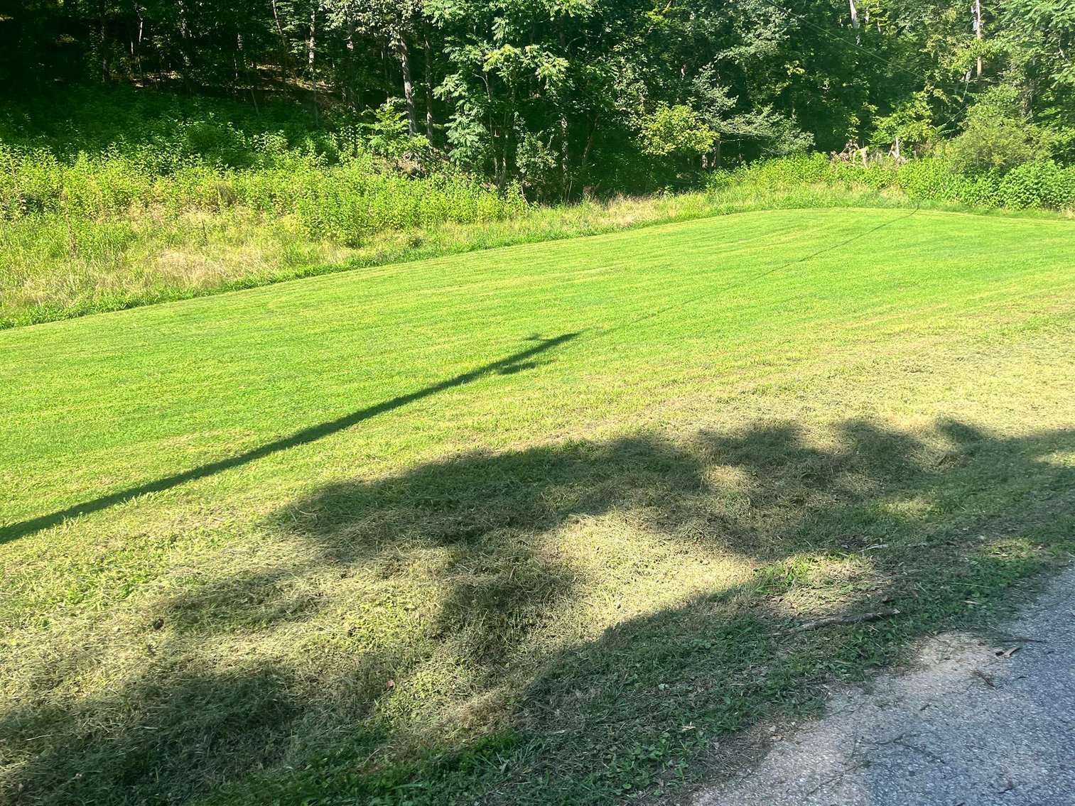 Image for SOLD $62,700 - 2 Bedroom on 5.6 Acres in Barboursville