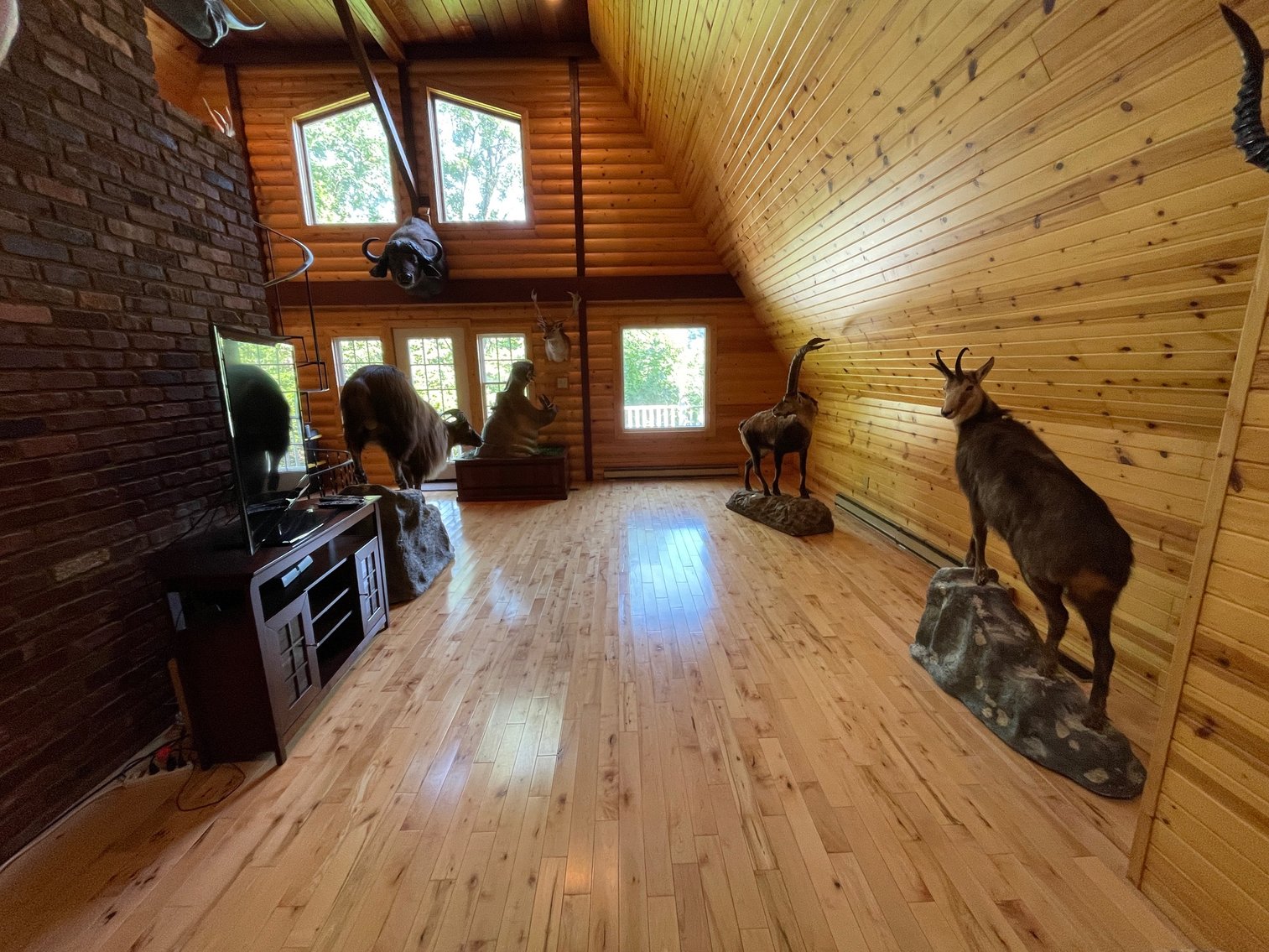 Image for SOLD $357,500 - Completely Renovated A-Frame Home on 3 Acres in Winfield