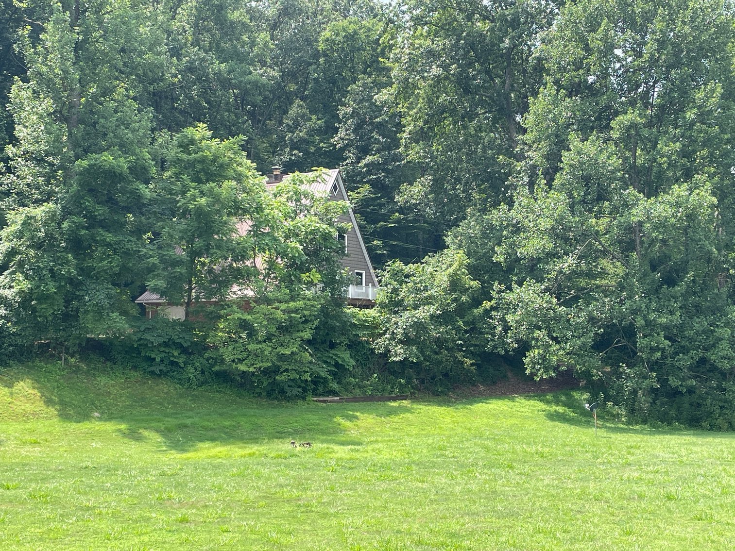 Image for SOLD $357,500 - Completely Renovated A-Frame Home on 3 Acres in Winfield