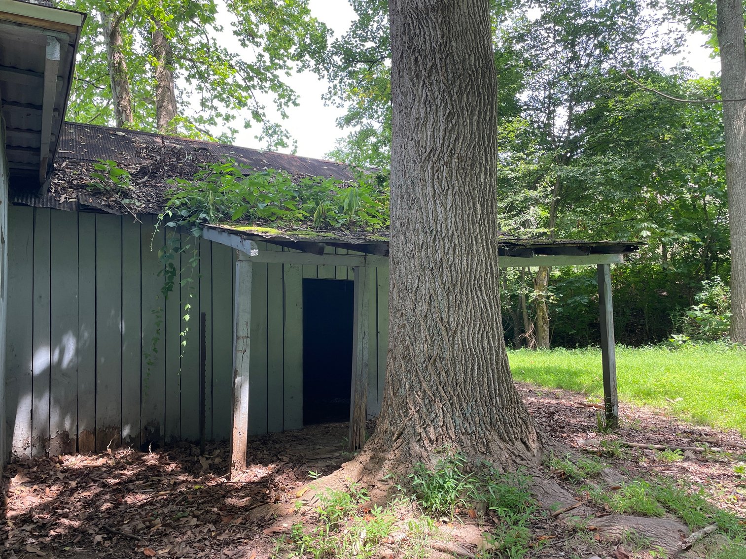 Image for SOLD $357,500 - Completely Renovated A-Frame Home on 3 Acres in Winfield