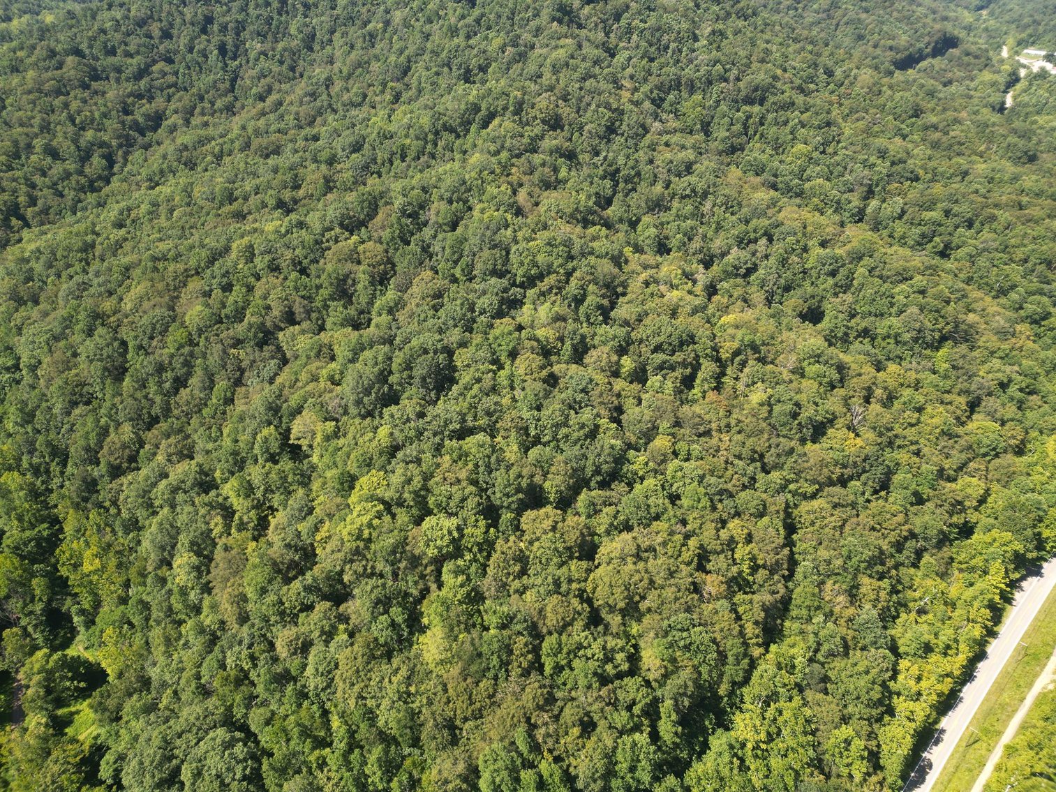 Image for SOLD $277,200 - 329 Surveyed Acres in Boone County Selling to the Highest Bidder