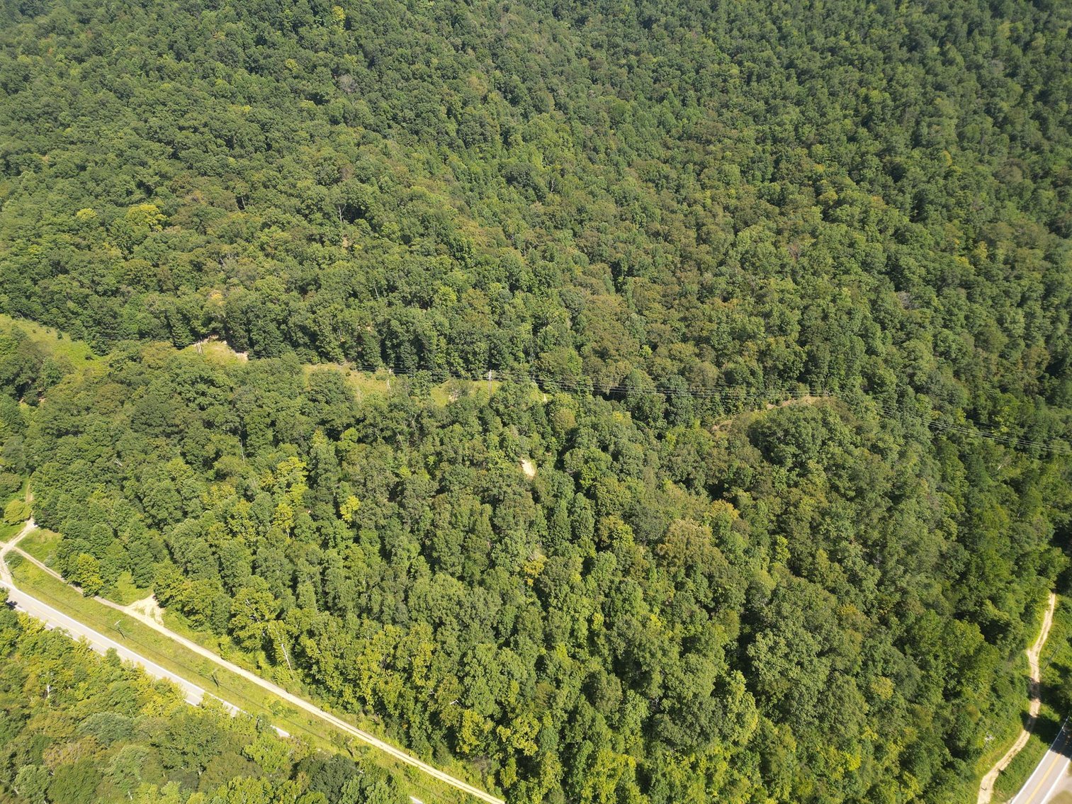 Image for SOLD $277,200 - 329 Surveyed Acres in Boone County Selling to the Highest Bidder