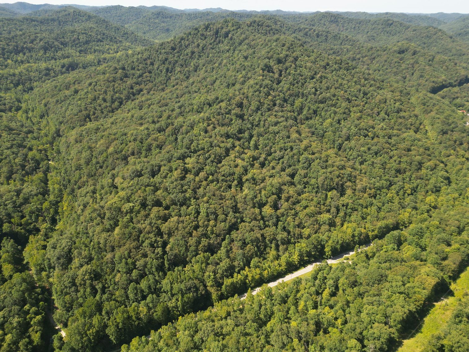 Image for SOLD $277,200 - 329 Surveyed Acres in Boone County Selling to the Highest Bidder