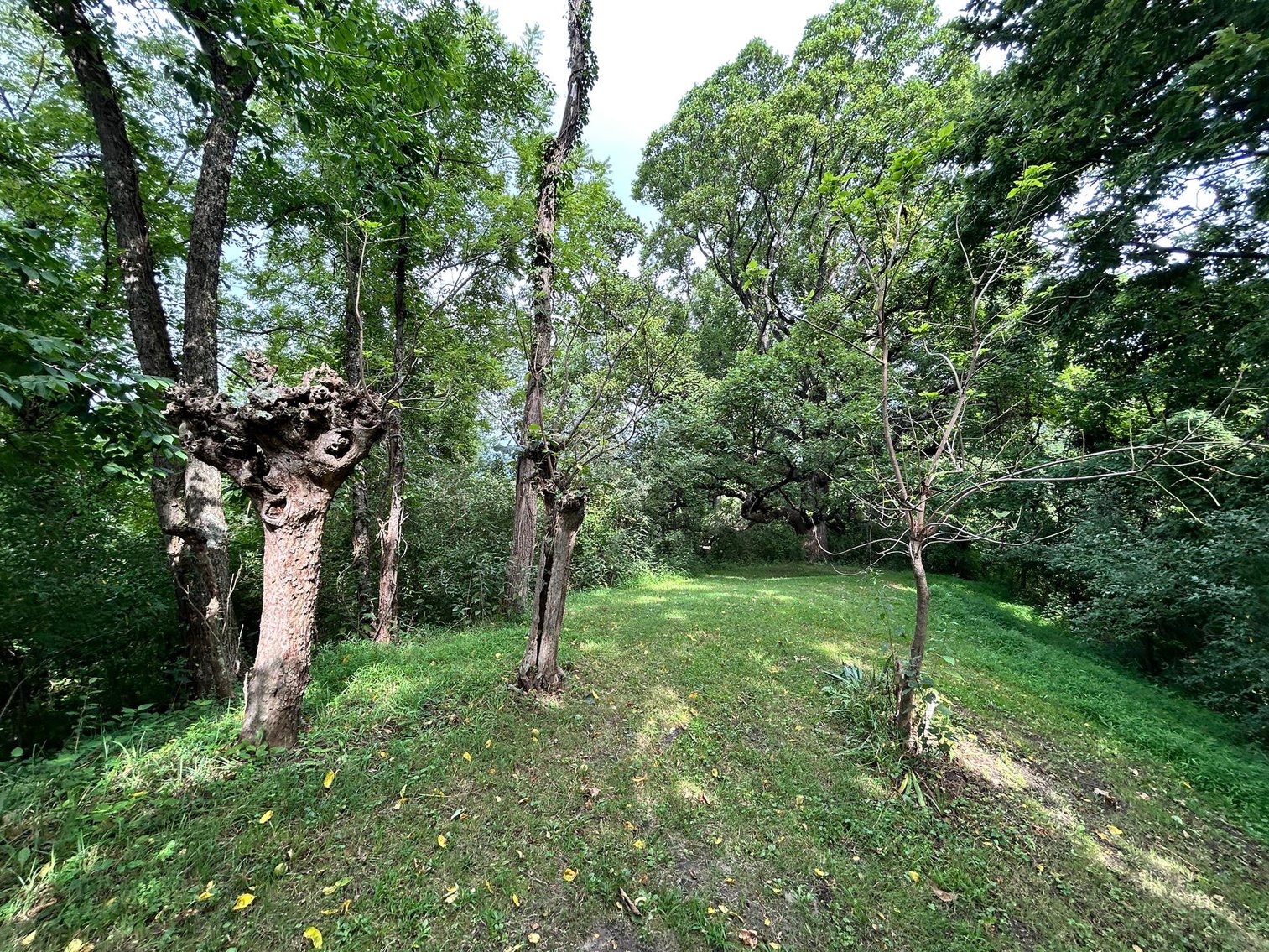 Image for SOLD $385,000 - 10.6 Acres with Spacious Project Home in Morgantown Selling to the Highest Bidder