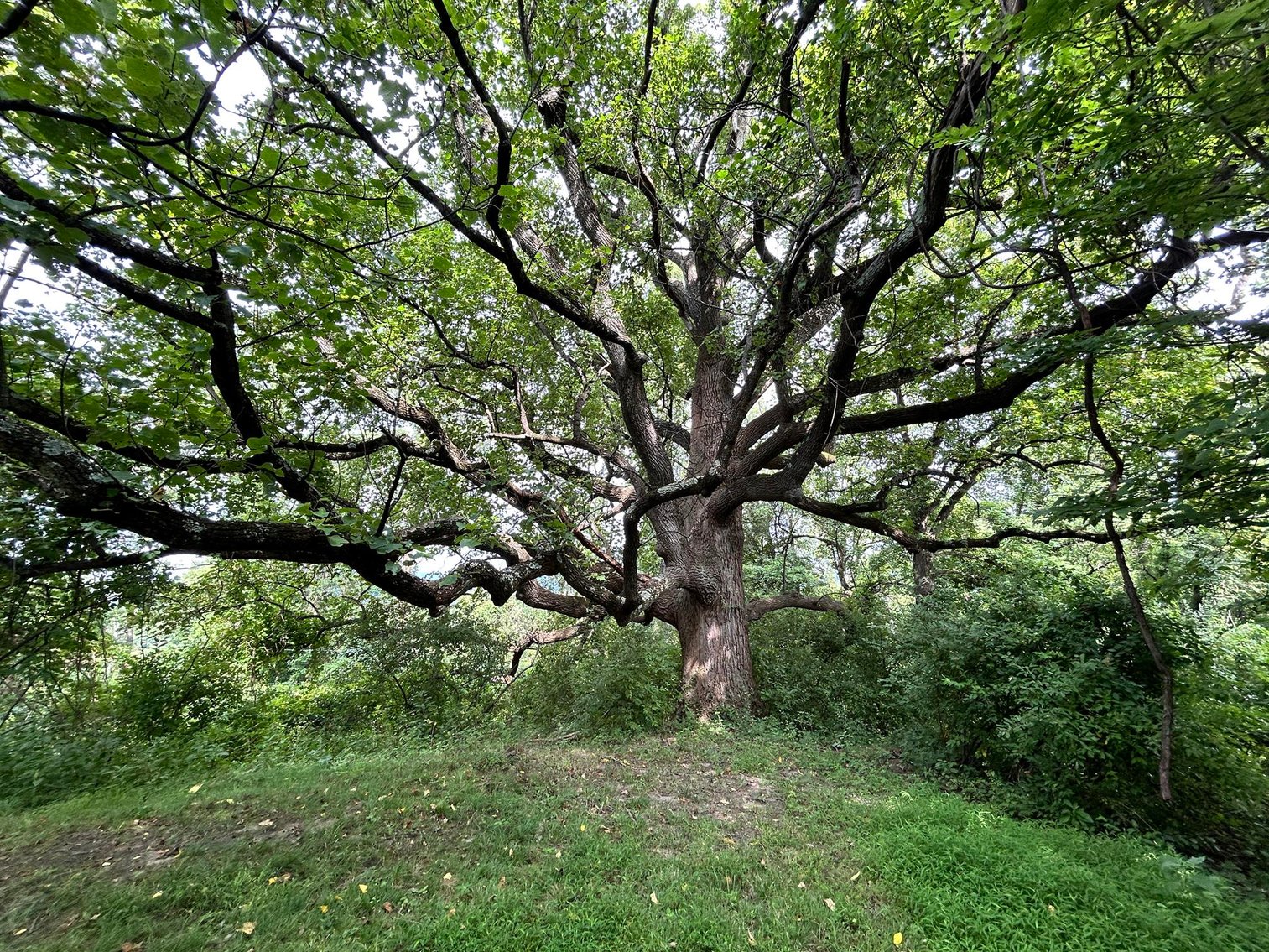 Image for SOLD $385,000 - 10.6 Acres with Spacious Project Home in Morgantown Selling to the Highest Bidder