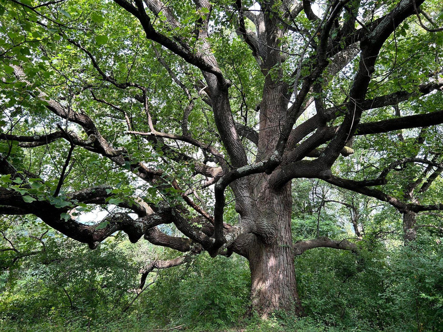 Image for SOLD $385,000 - 10.6 Acres with Spacious Project Home in Morgantown Selling to the Highest Bidder