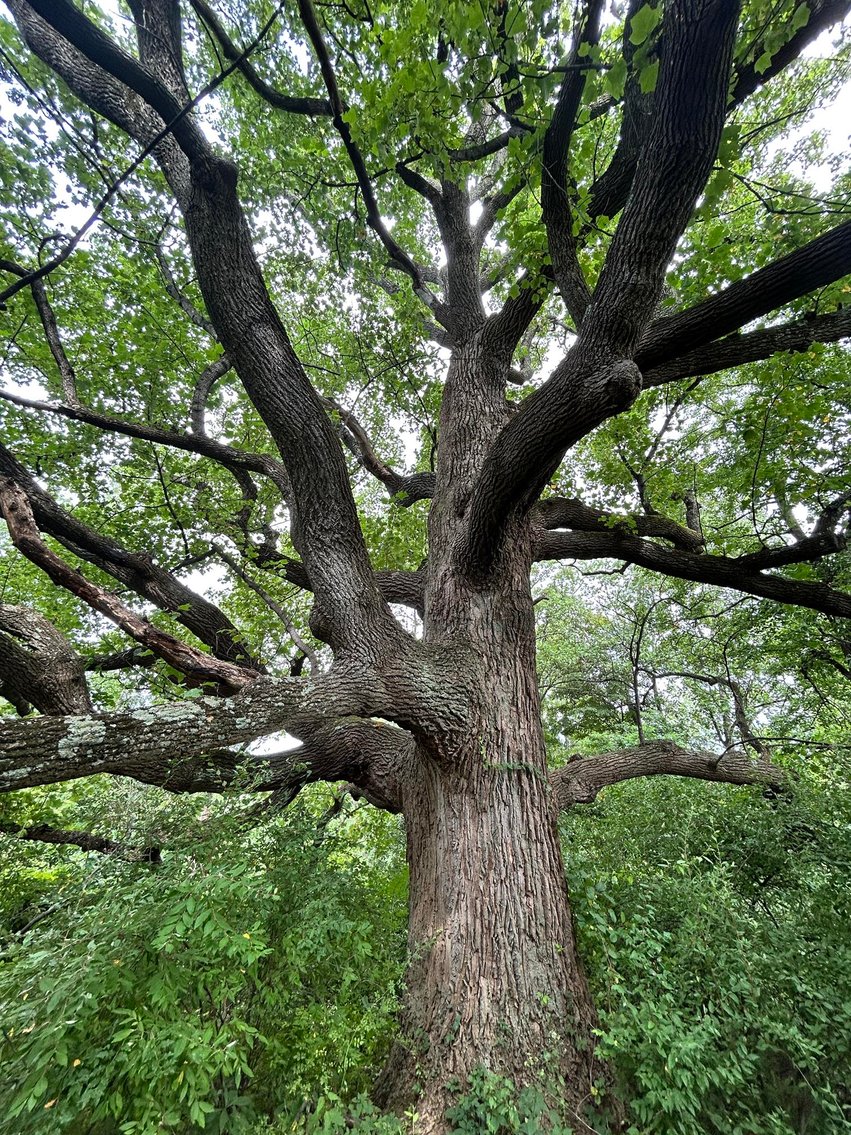 Image for SOLD $385,000 - 10.6 Acres with Spacious Project Home in Morgantown Selling to the Highest Bidder