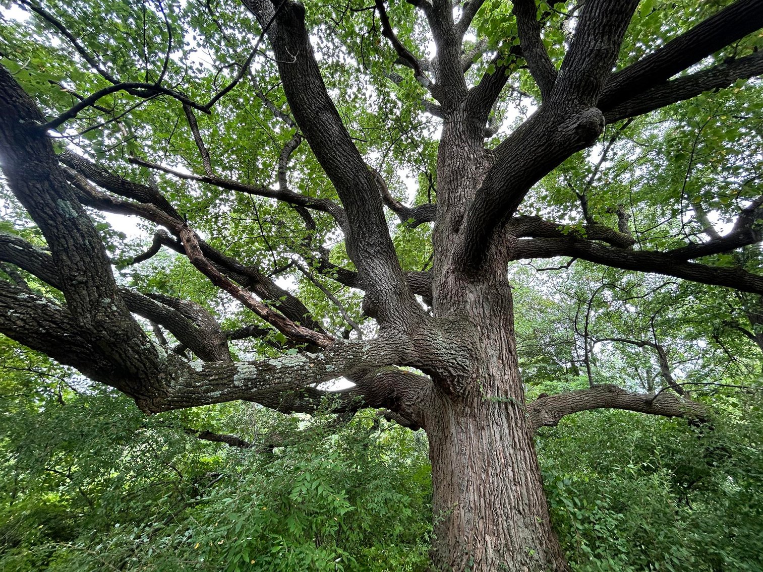 Image for SOLD $385,000 - 10.6 Acres with Spacious Project Home in Morgantown Selling to the Highest Bidder