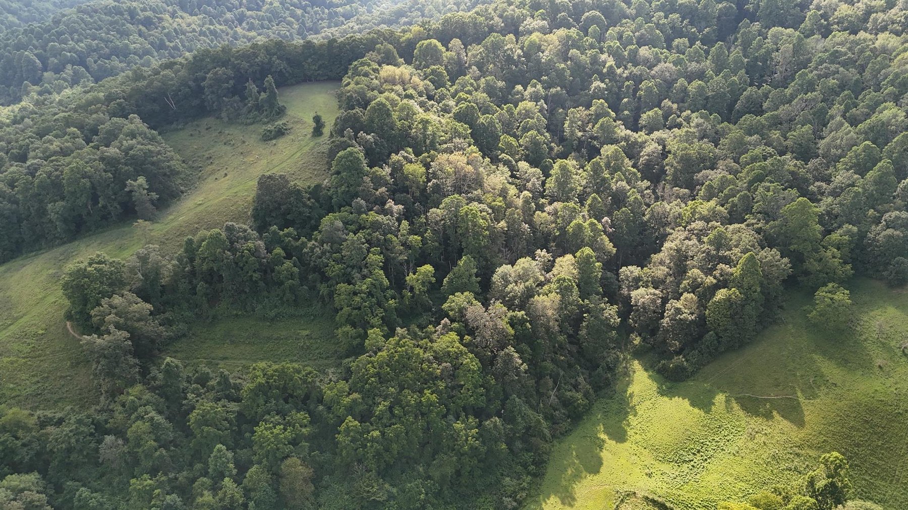 Image for SOLD $187,000 - 63 Acre Hobby Farm with 2 Bedroom Home in Harrison County