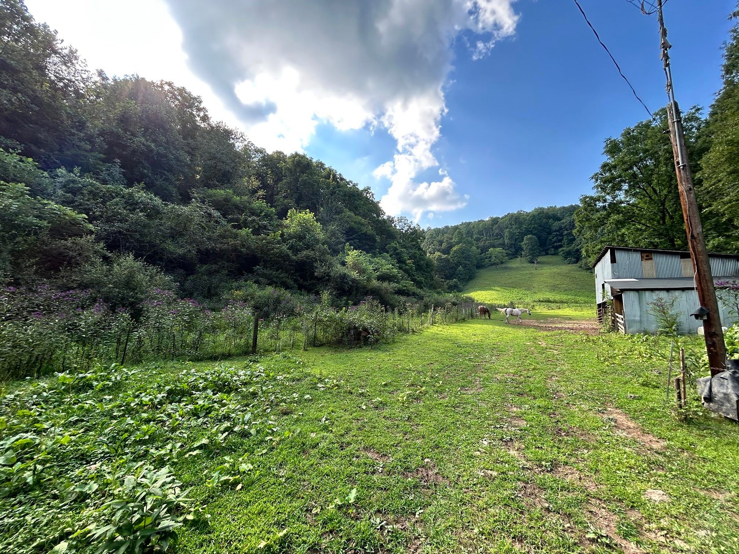 Image for SOLD $187,000 - 63 Acre Hobby Farm with 2 Bedroom Home in Harrison County