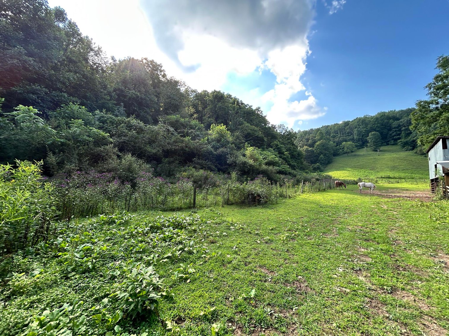 Image for SOLD $187,000 - 63 Acre Hobby Farm with 2 Bedroom Home in Harrison County