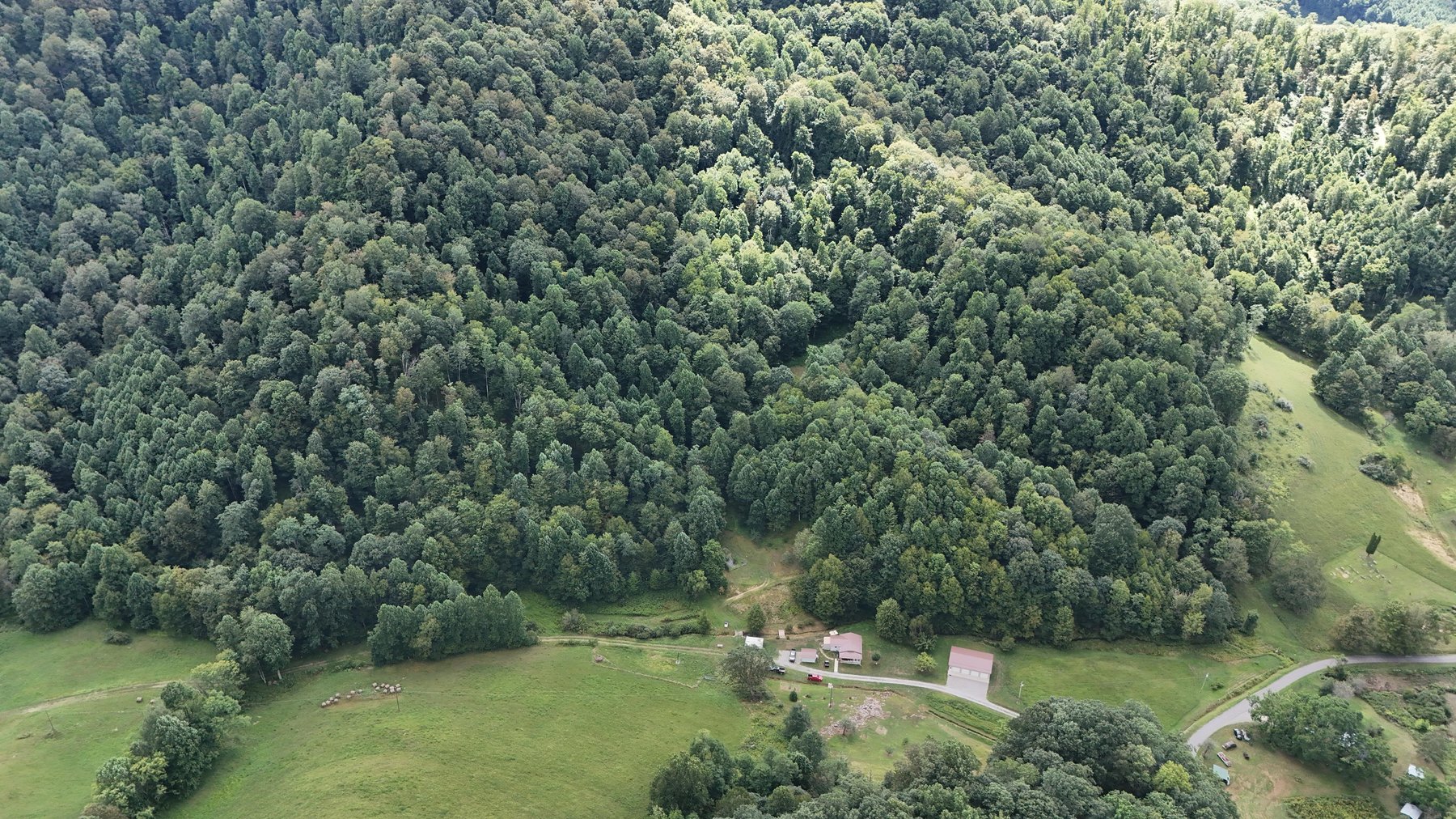 Image for SOLD $170,500 - Move-in Ready Home with Garage on 32 Acres in Webster Springs Selling to the Highest Bidder