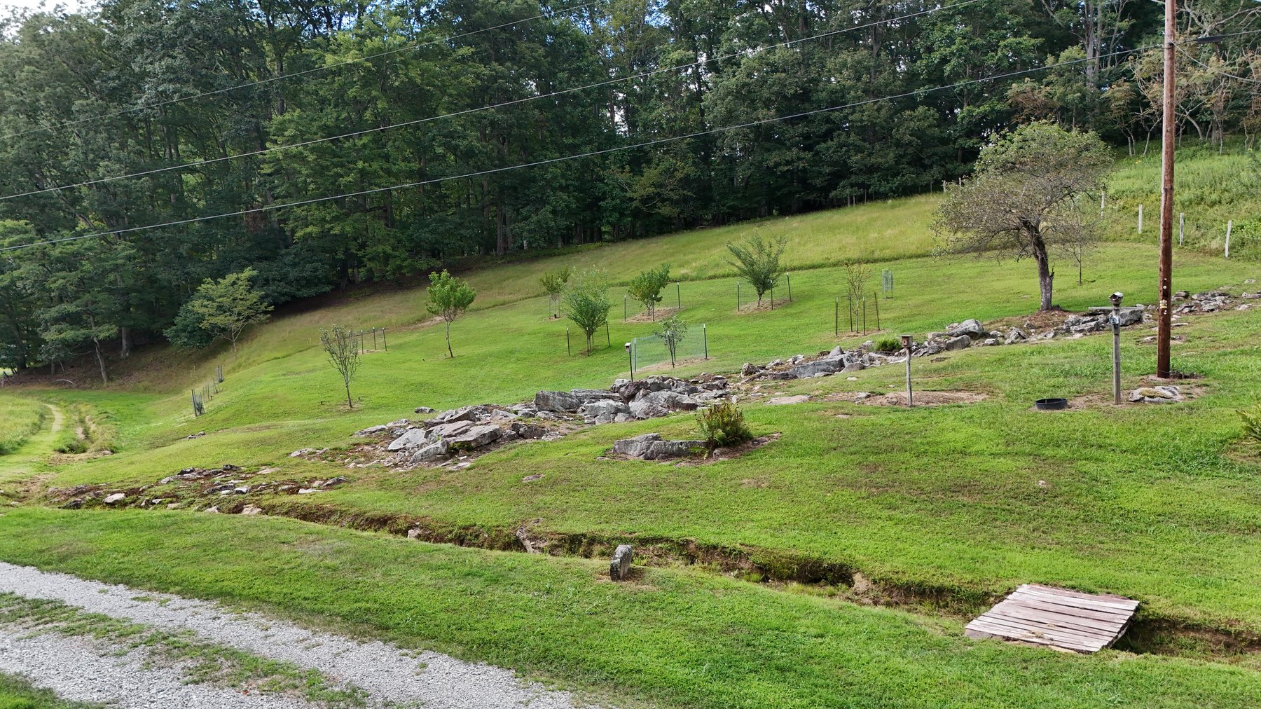 Image for SOLD $170,500 - Move-in Ready Home with Garage on 32 Acres in Webster Springs Selling to the Highest Bidder