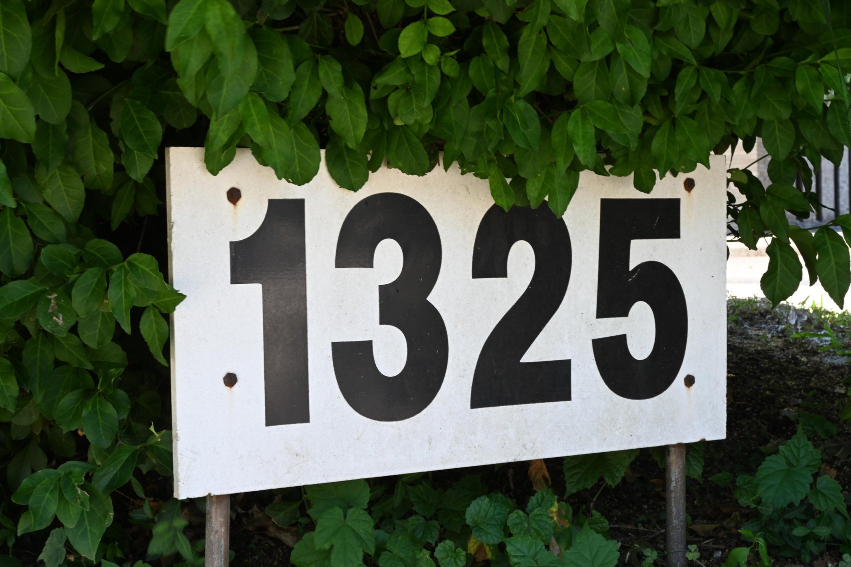 Image for Impressive 4-Story Office Building in Downtown Charleston