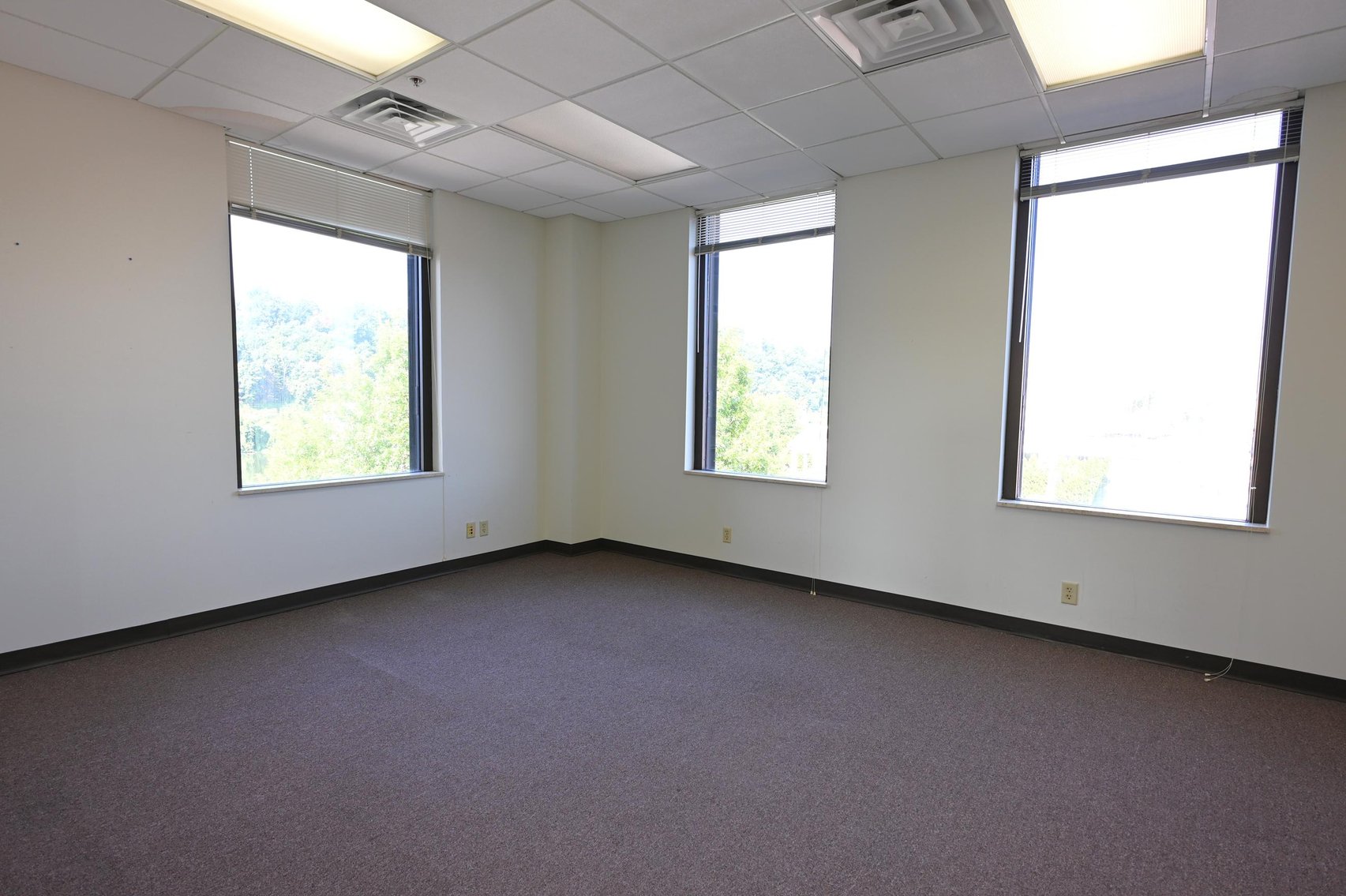 Image for Impressive 4-Story Office Building in Downtown Charleston