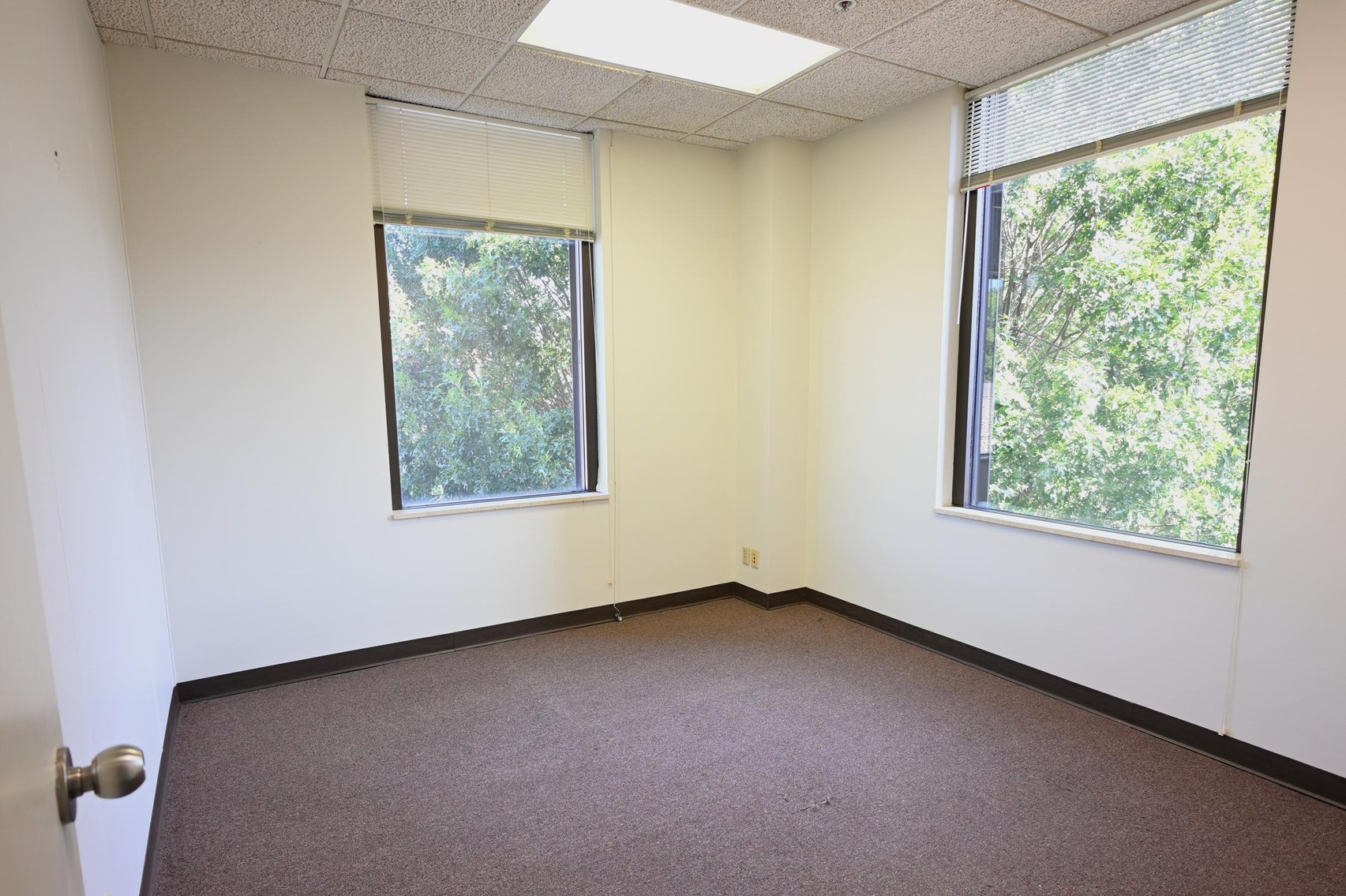 Image for Impressive 4-Story Office Building in Downtown Charleston