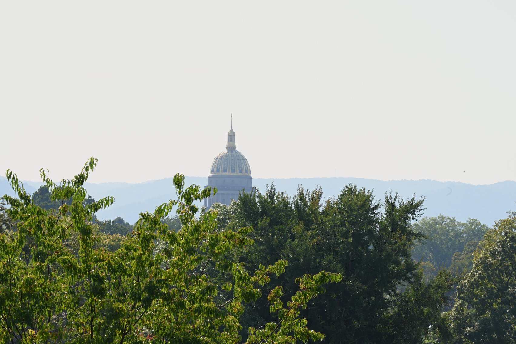 Image for Impressive 4-Story Office Building in Downtown Charleston