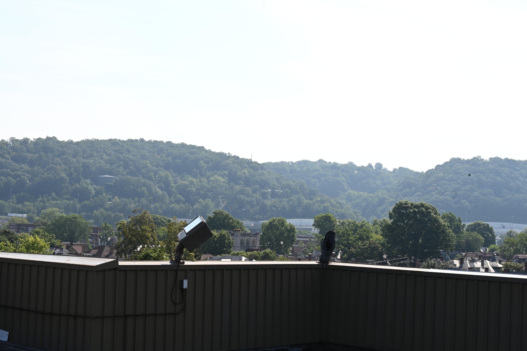 Image for Impressive 4-Story Office Building in Downtown Charleston