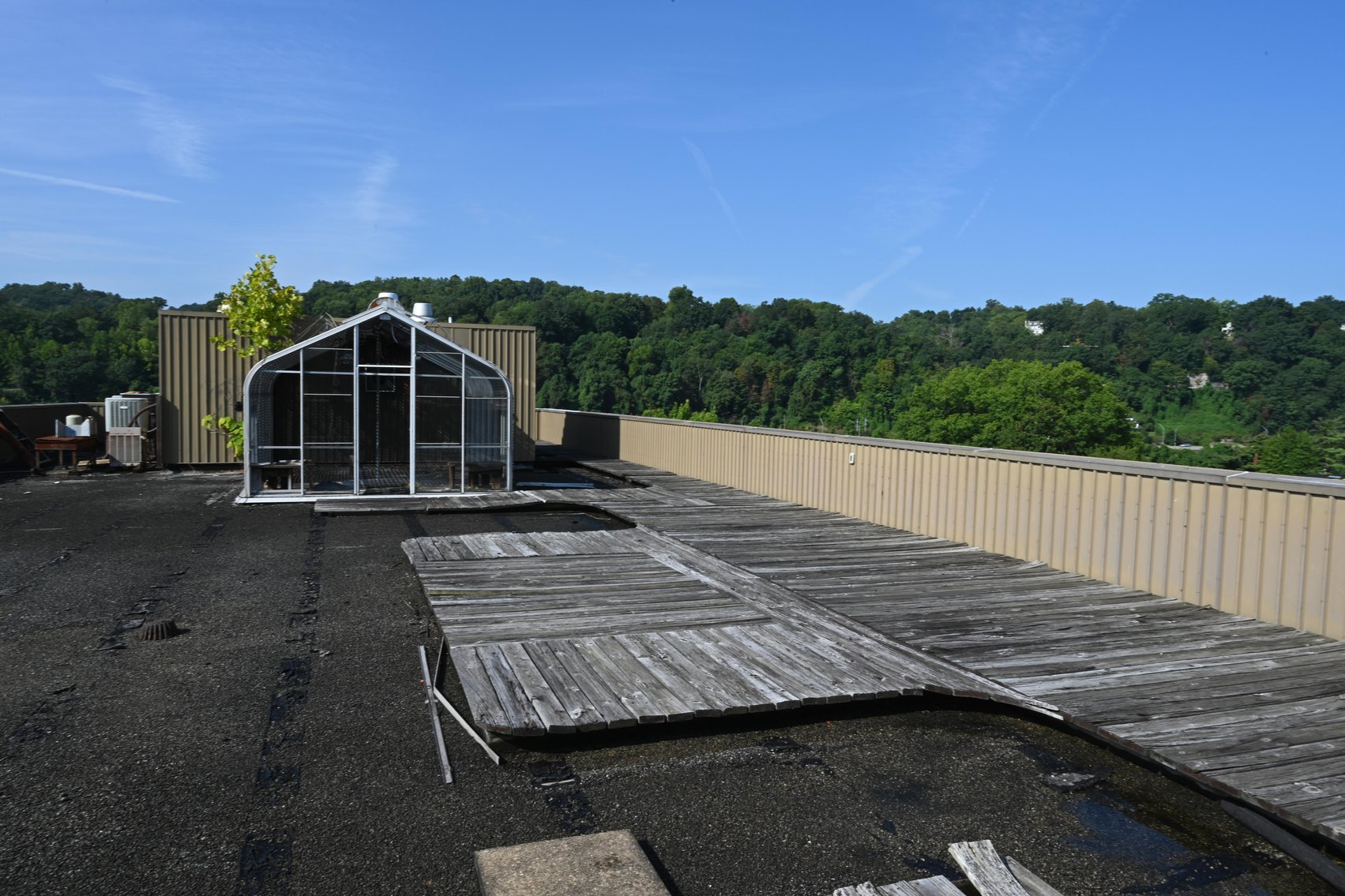 Image for Impressive 4-Story Office Building in Downtown Charleston